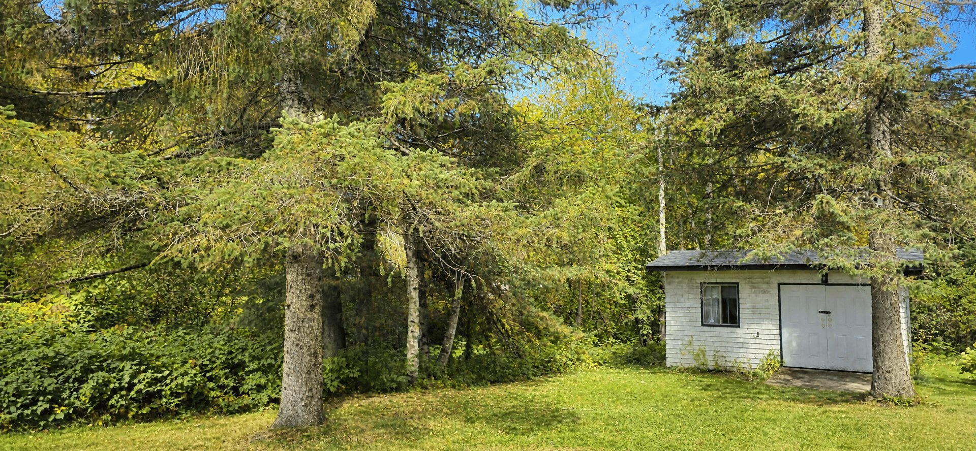 Cabanon au fond du terrain