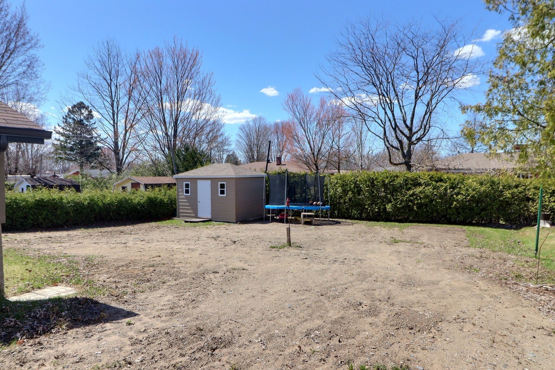Backyard