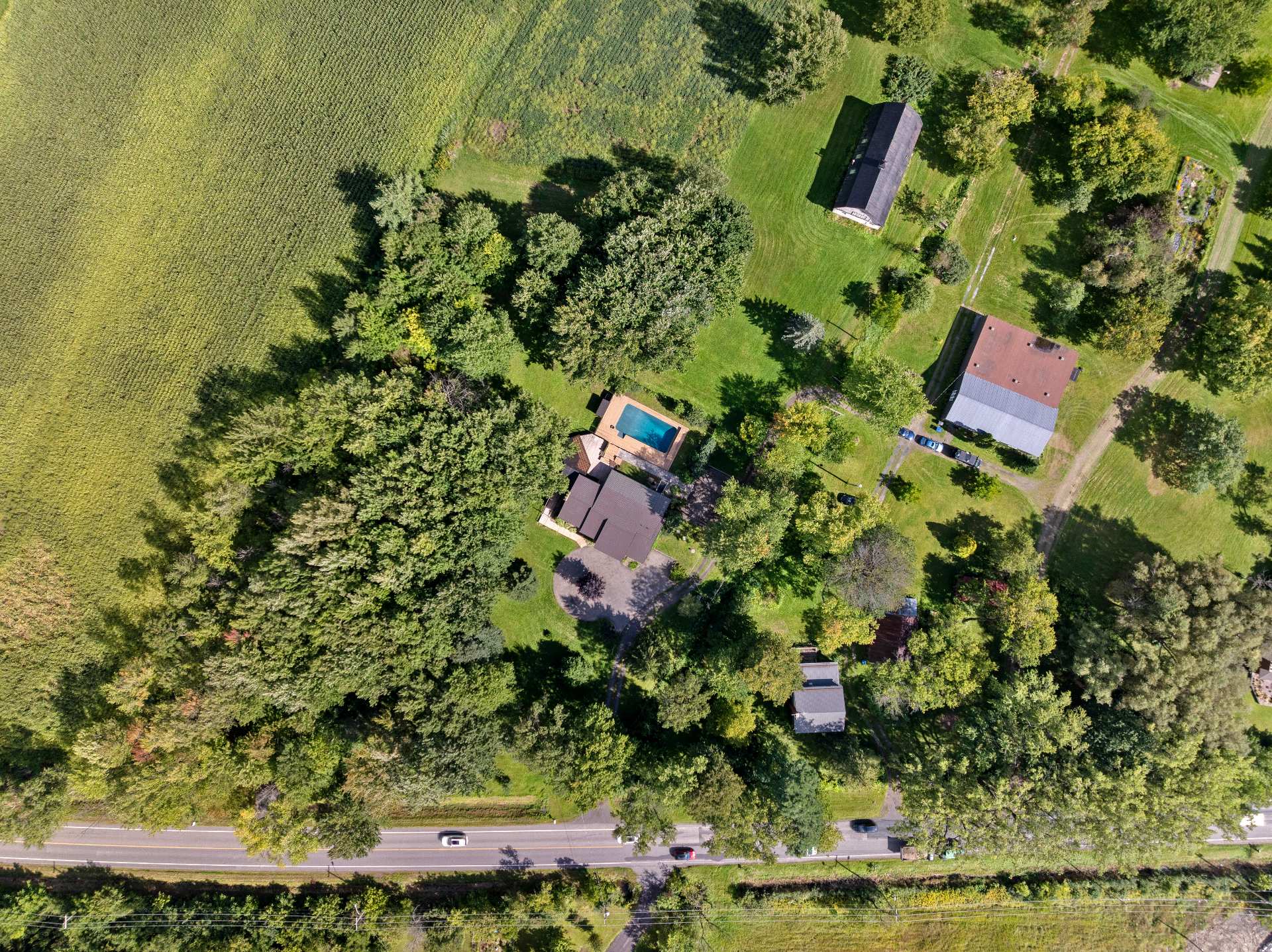 Aerial photo