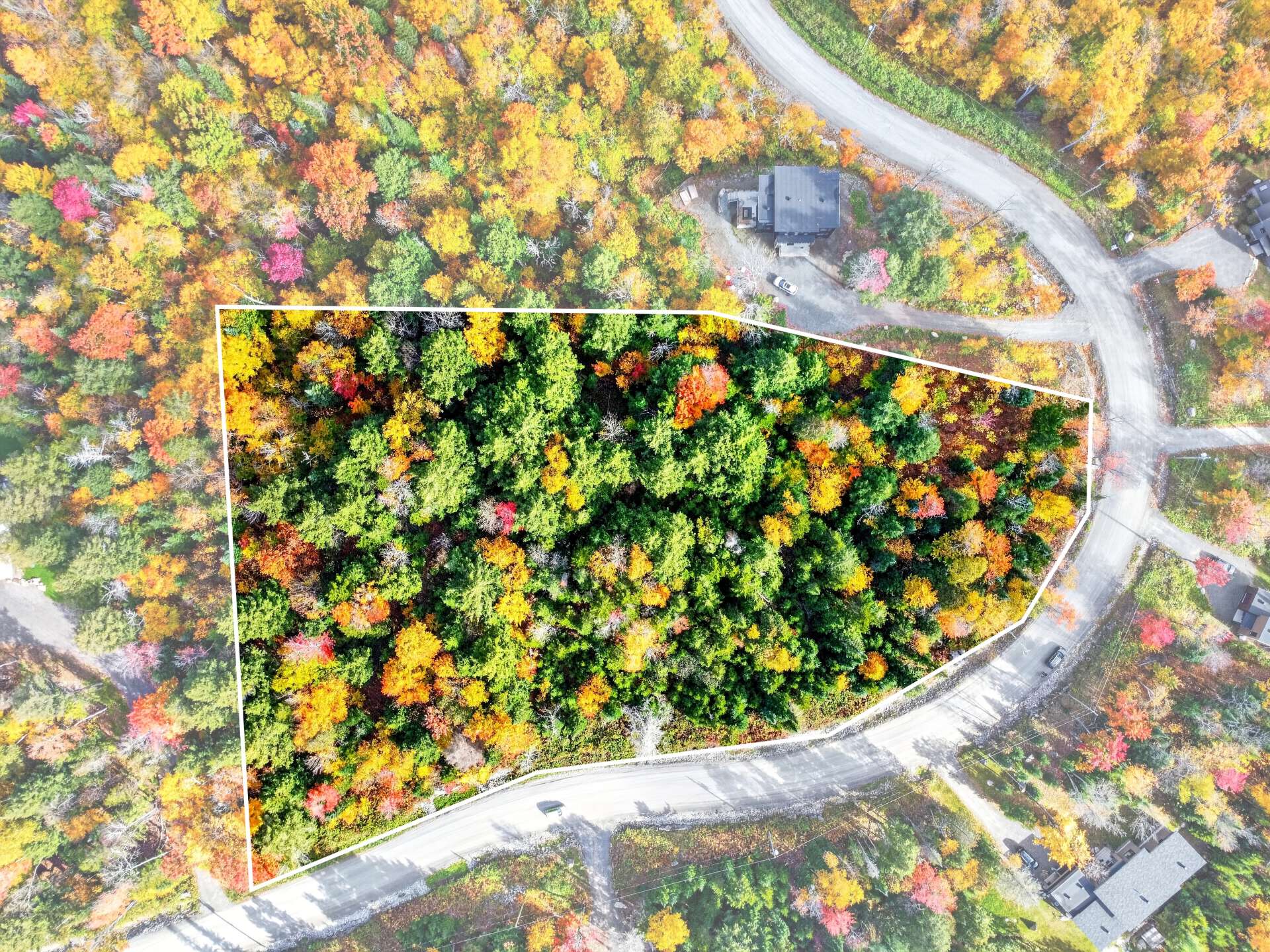 Approximate boundary lines