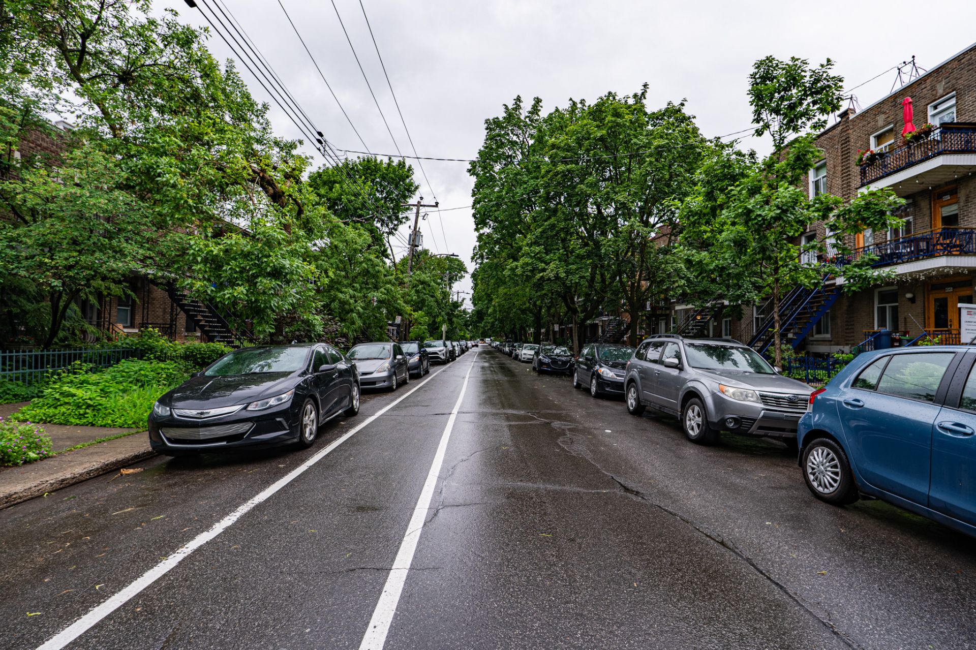 Street