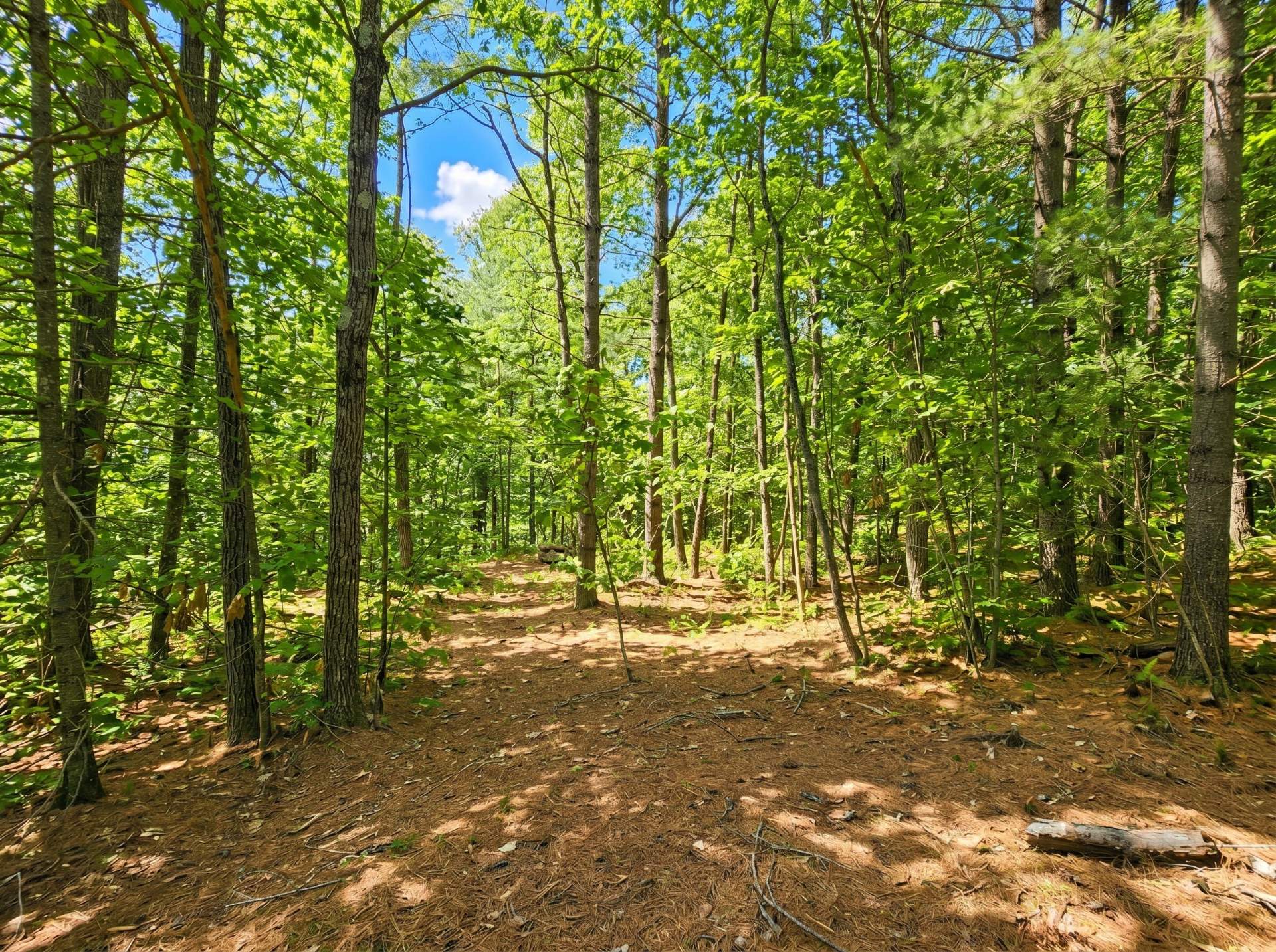 Land/Lot