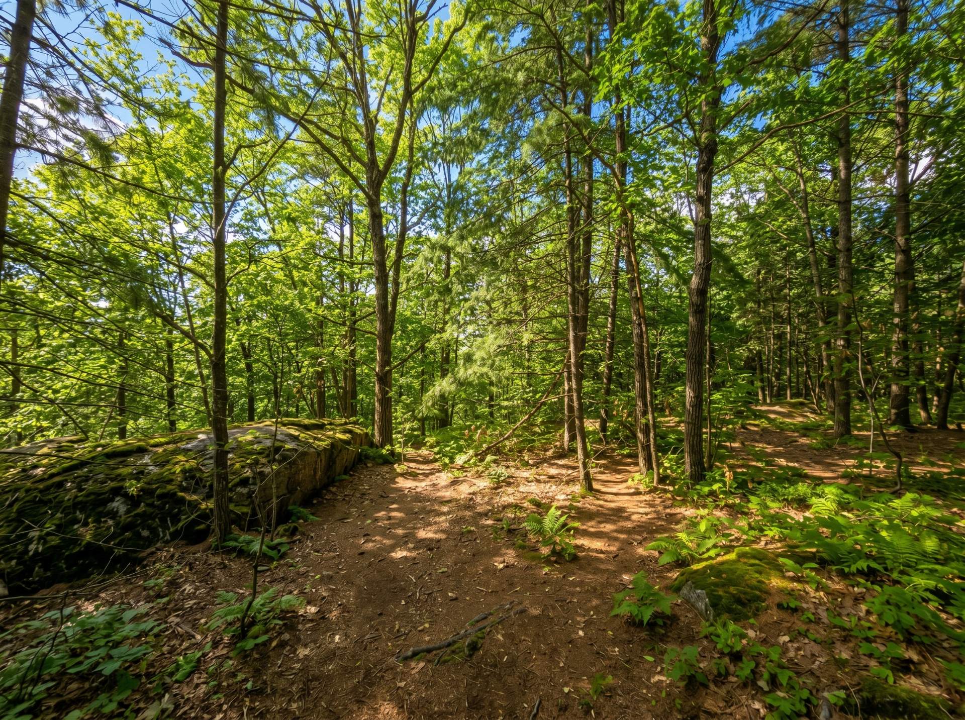 Land/Lot