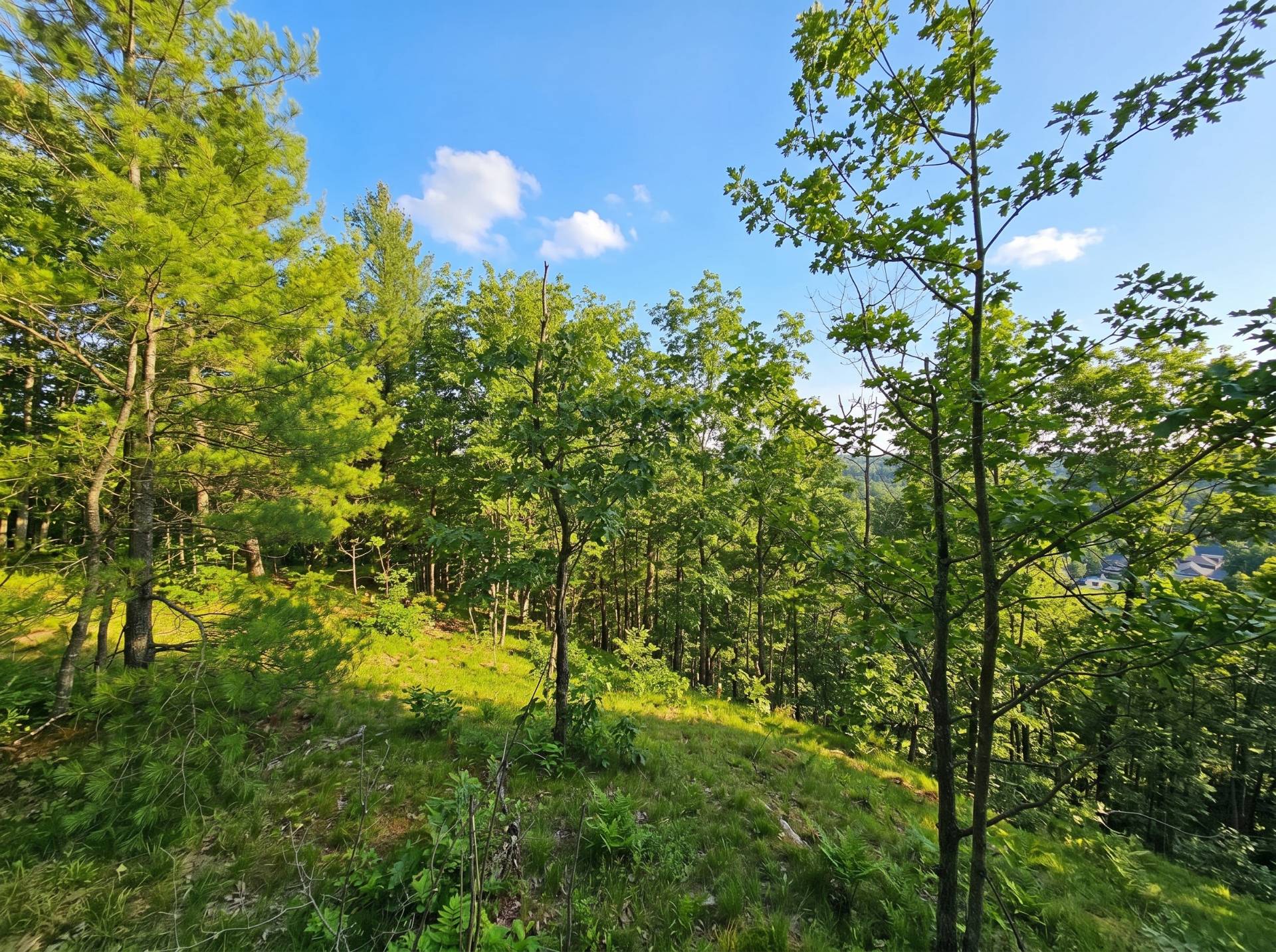 Land/Lot