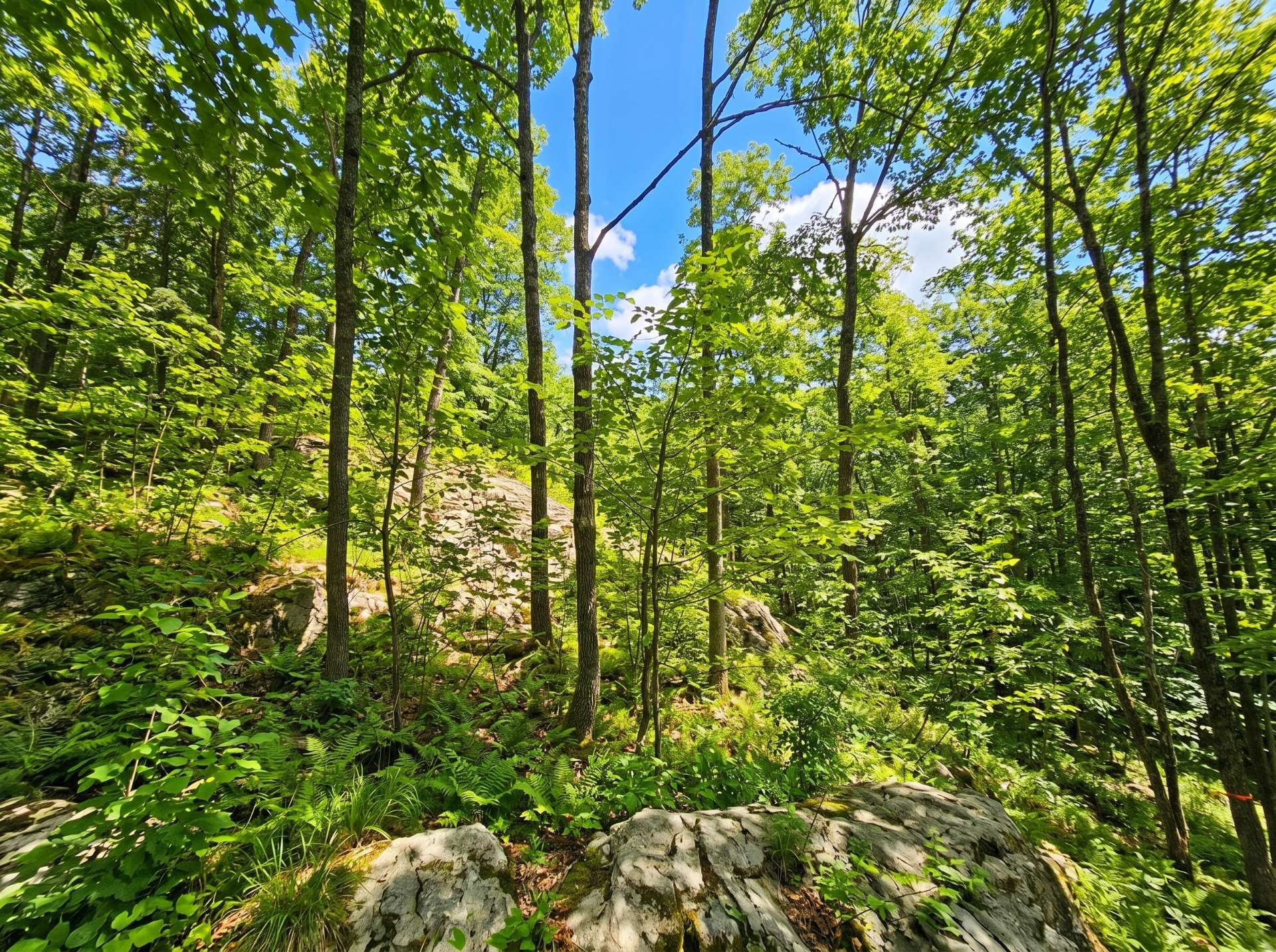 Land/Lot