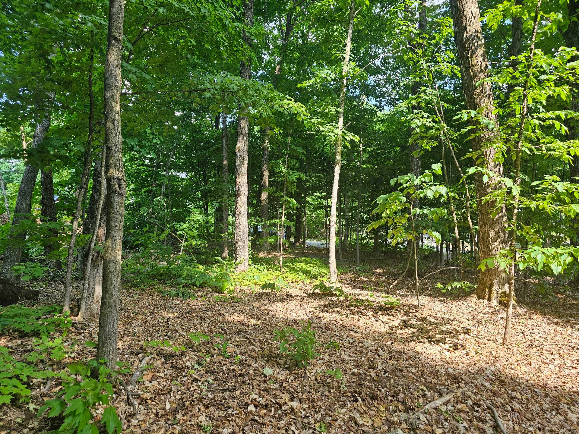 Land/Lot