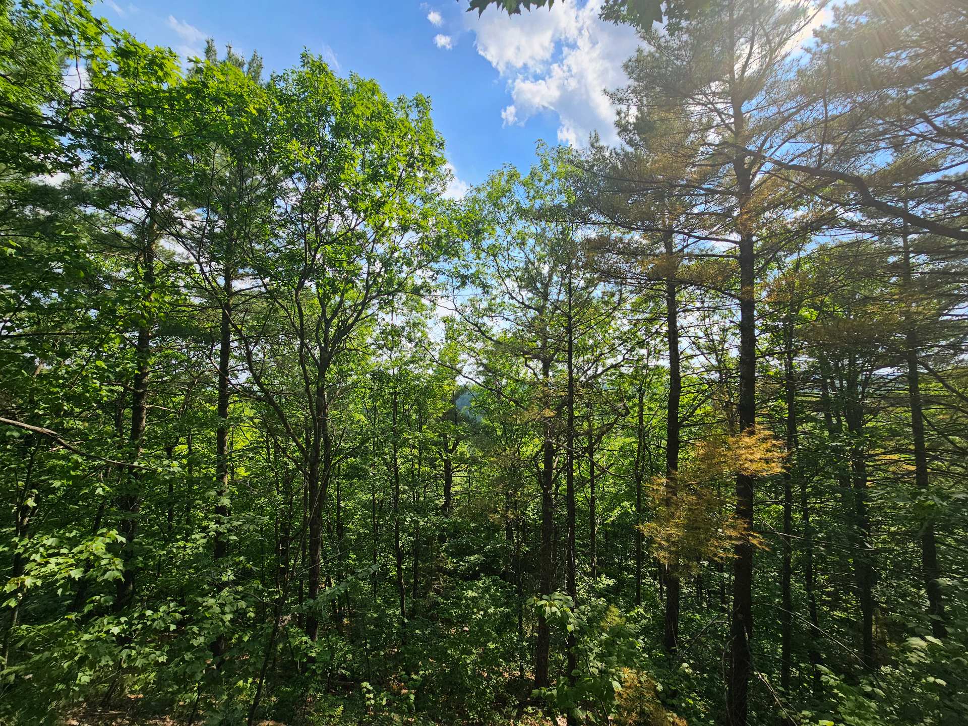 Land/Lot