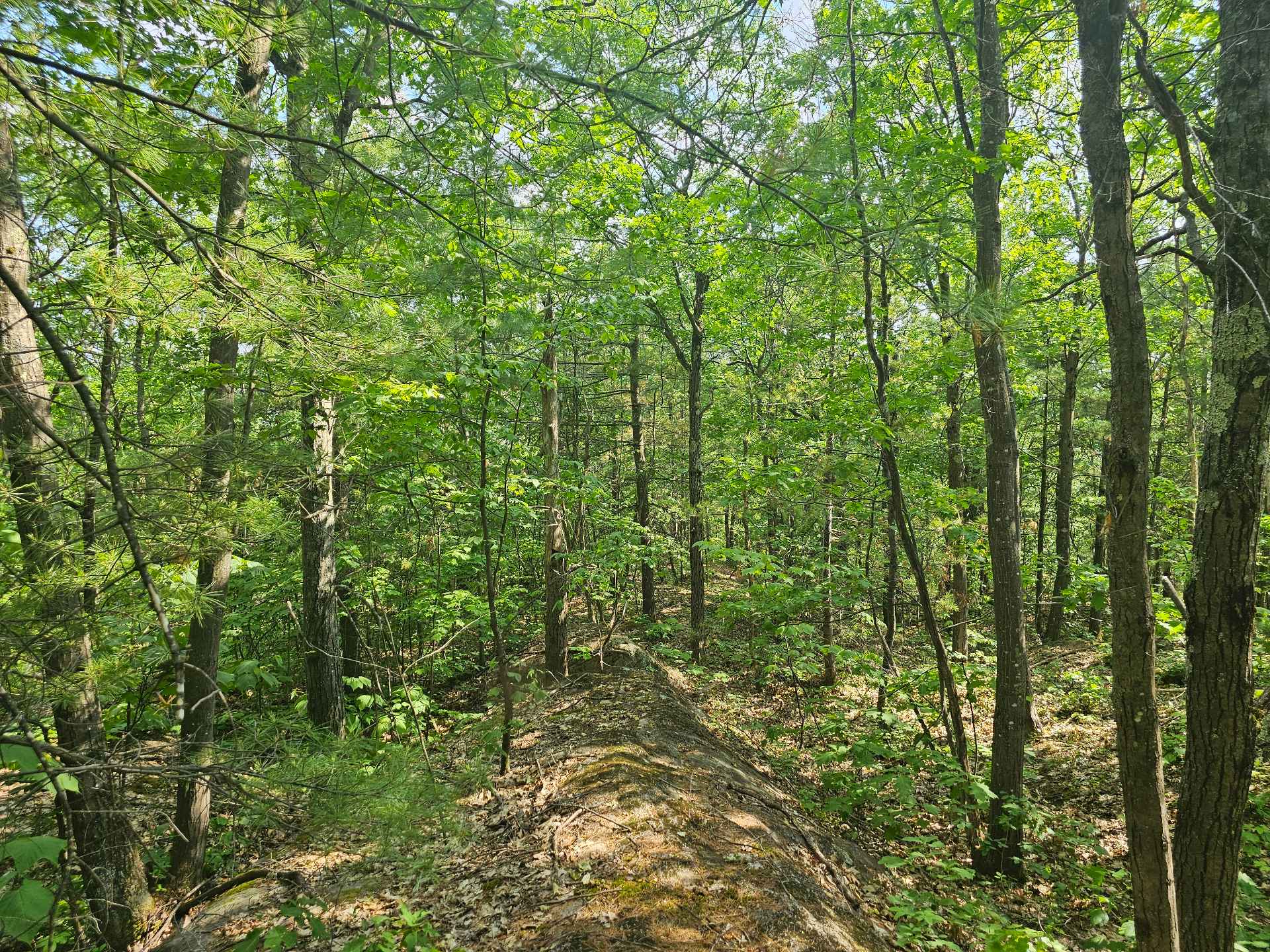 Land/Lot