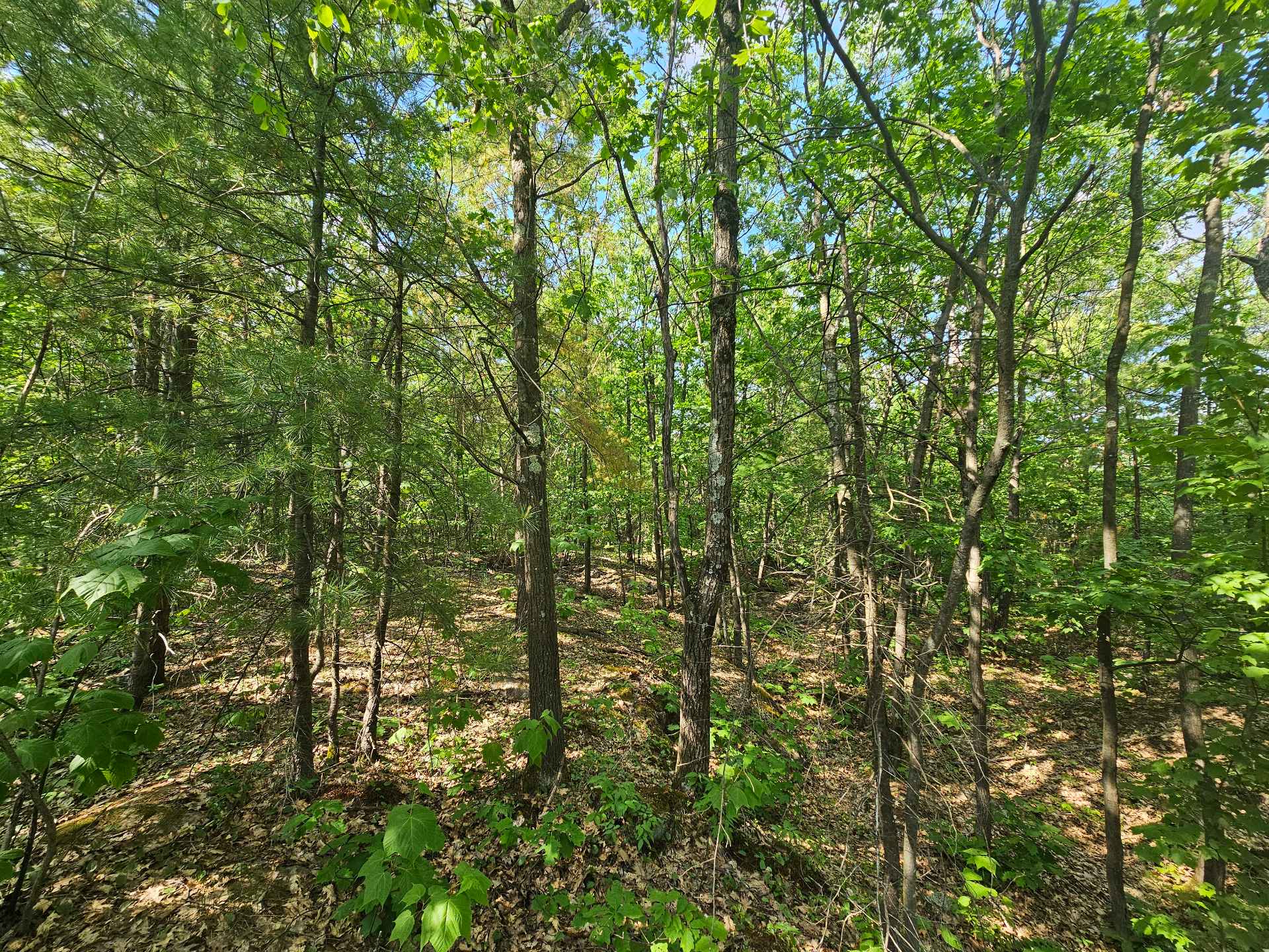Land/Lot