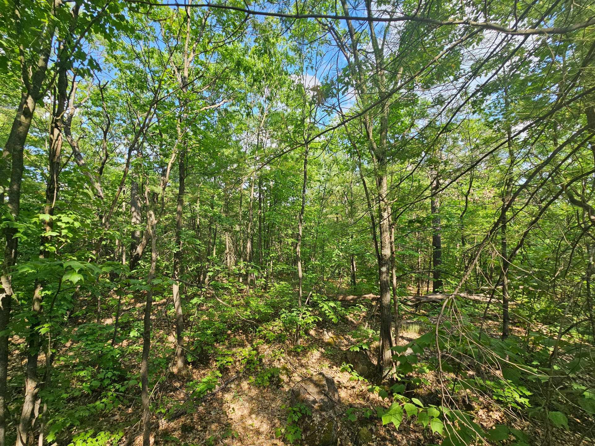 Land/Lot