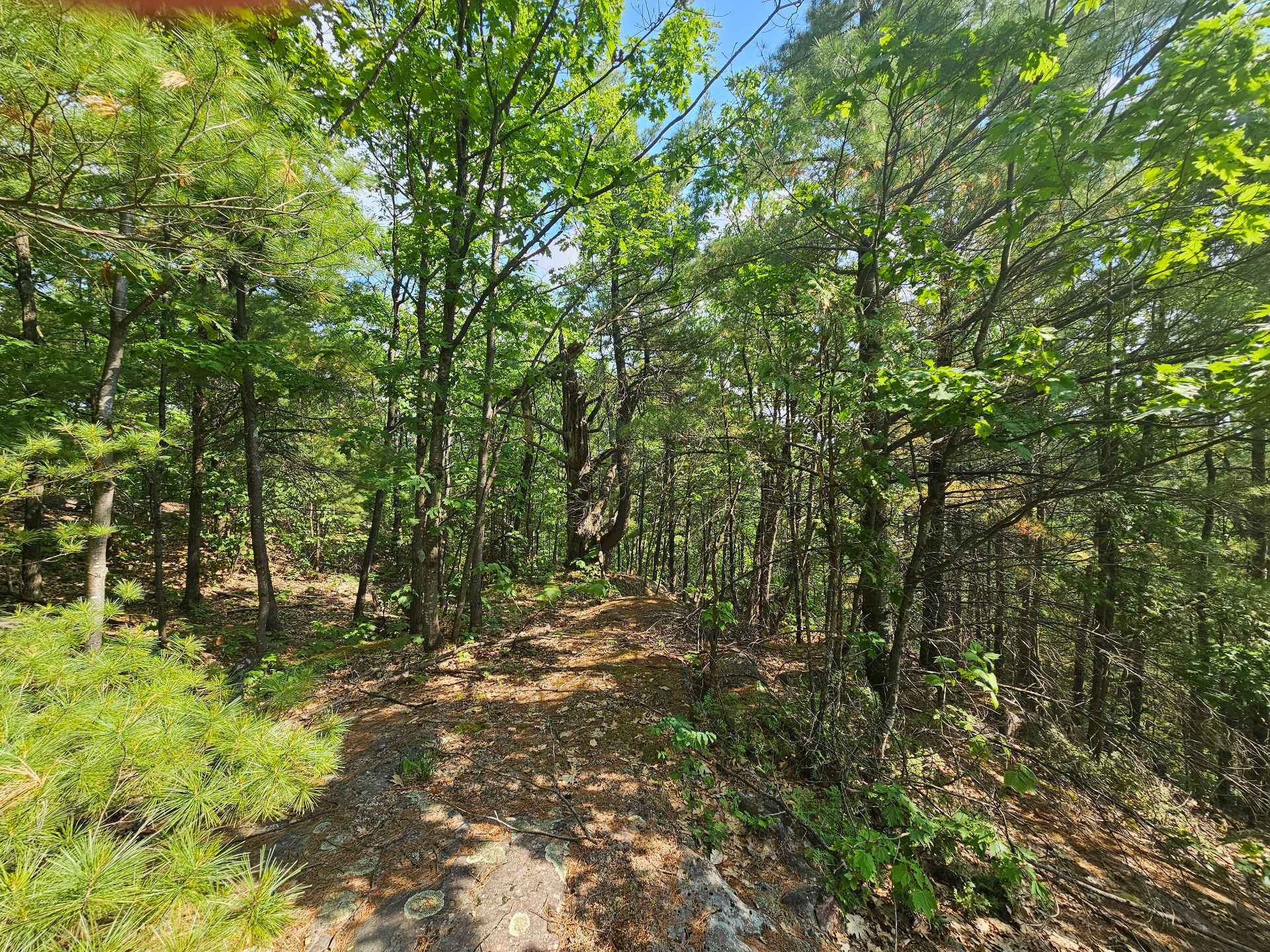 Land/Lot