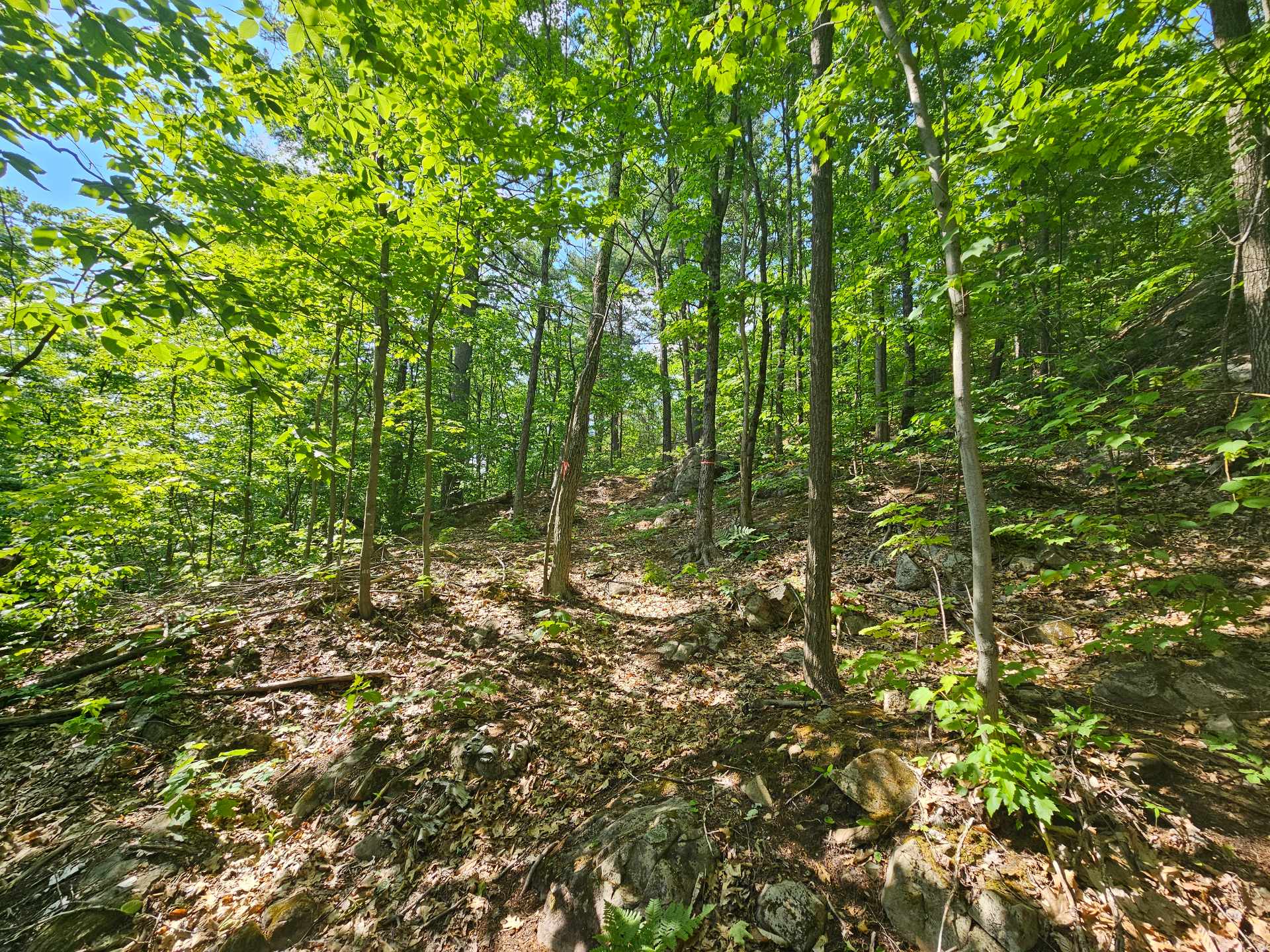 Land/Lot