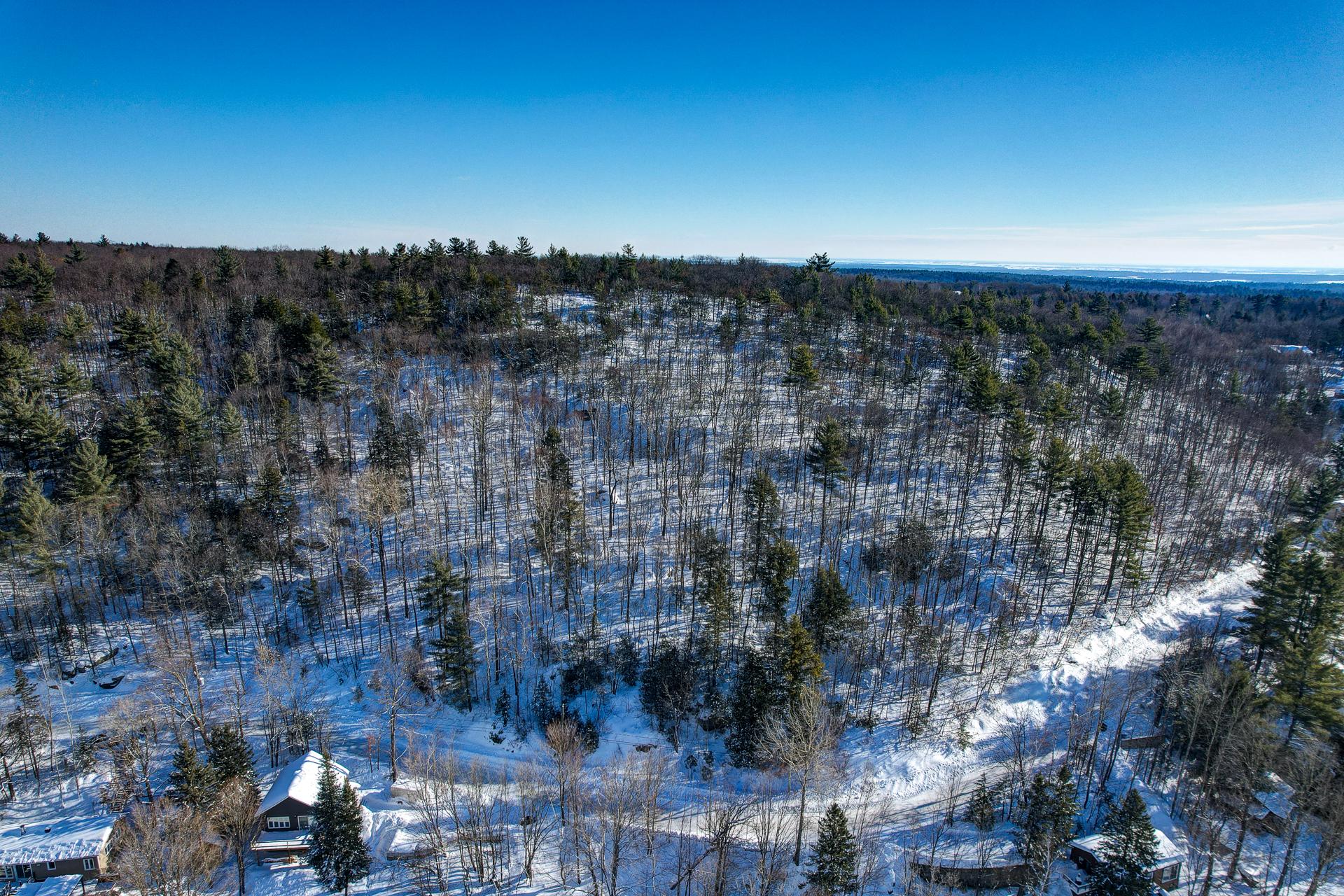 Overall View
