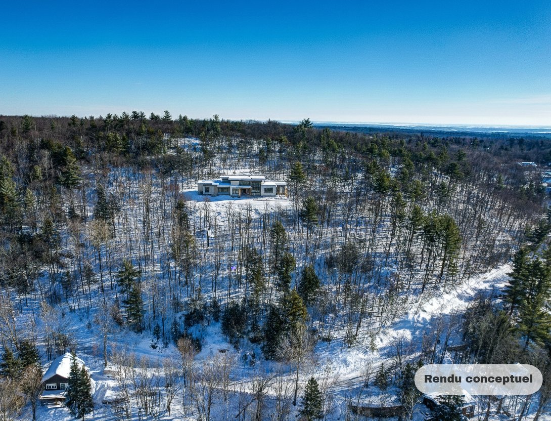 Overall View