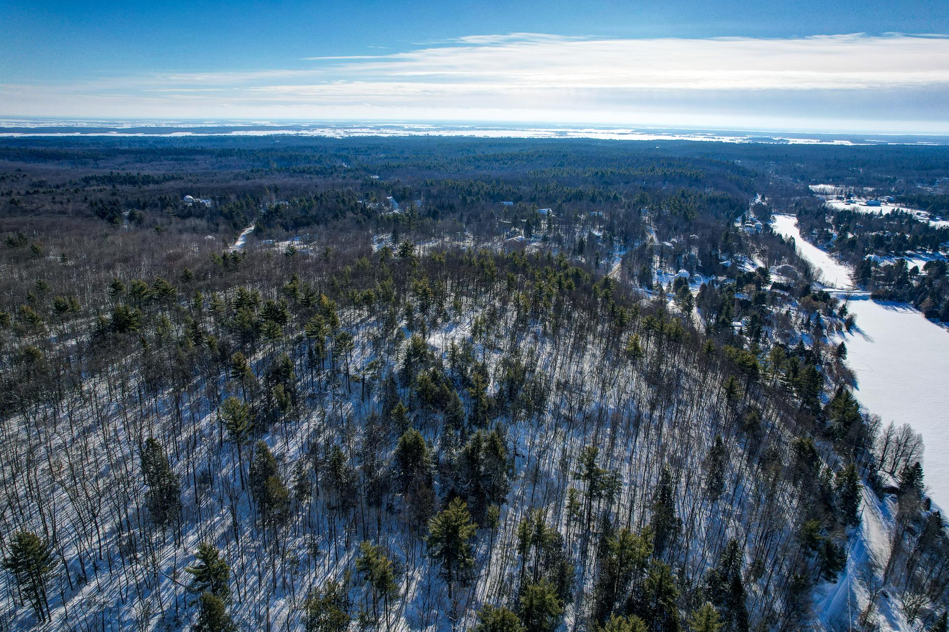 Overall View