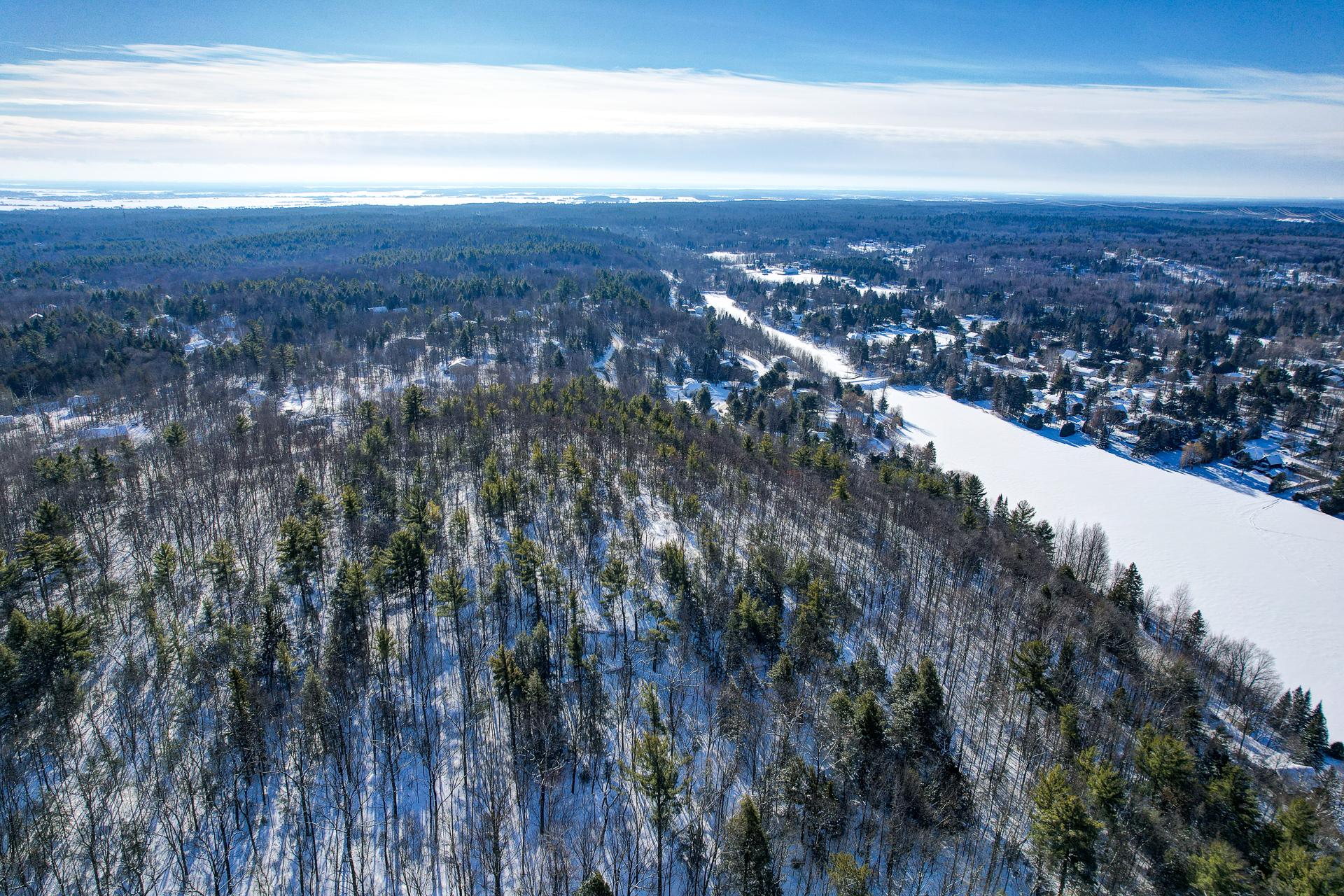Overall View