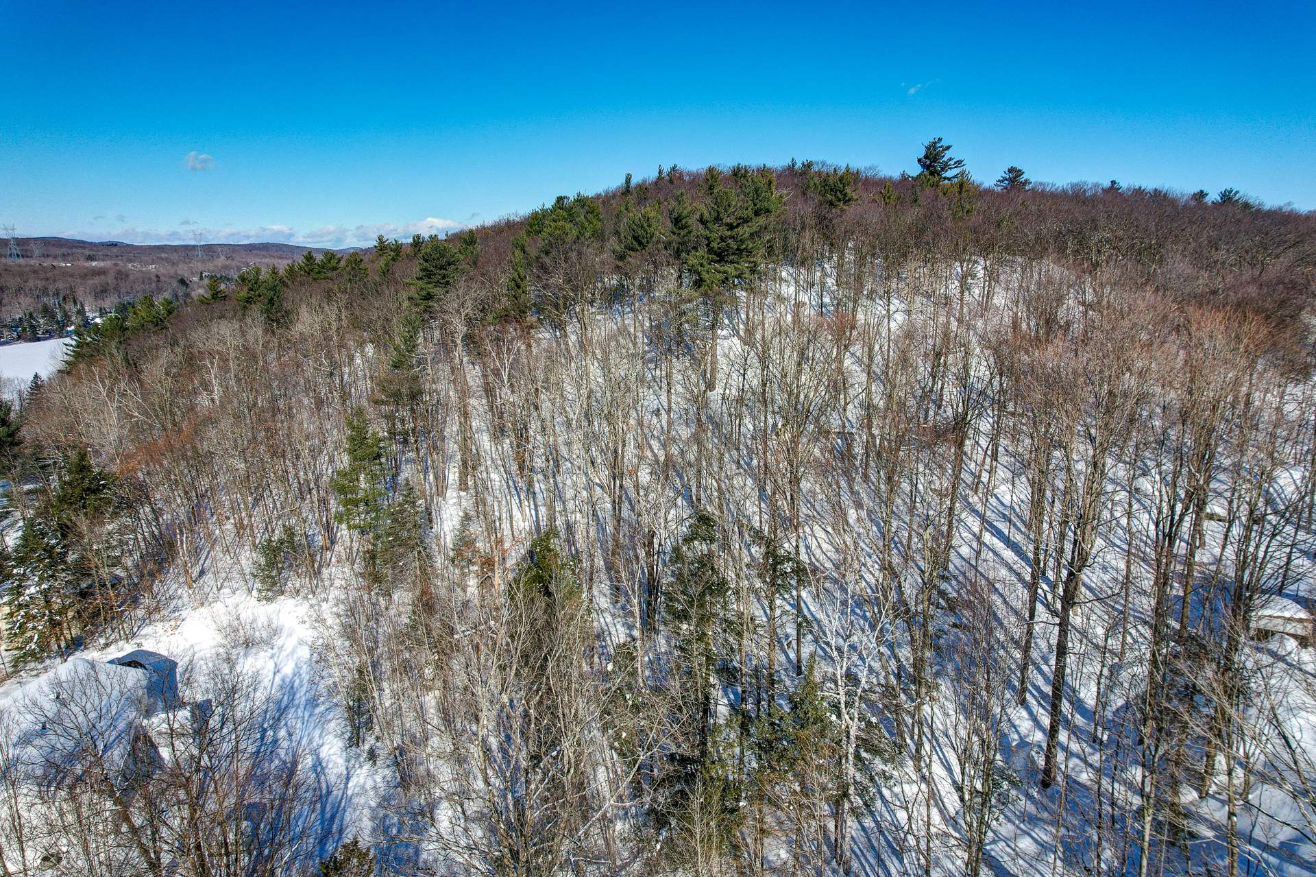Overall View