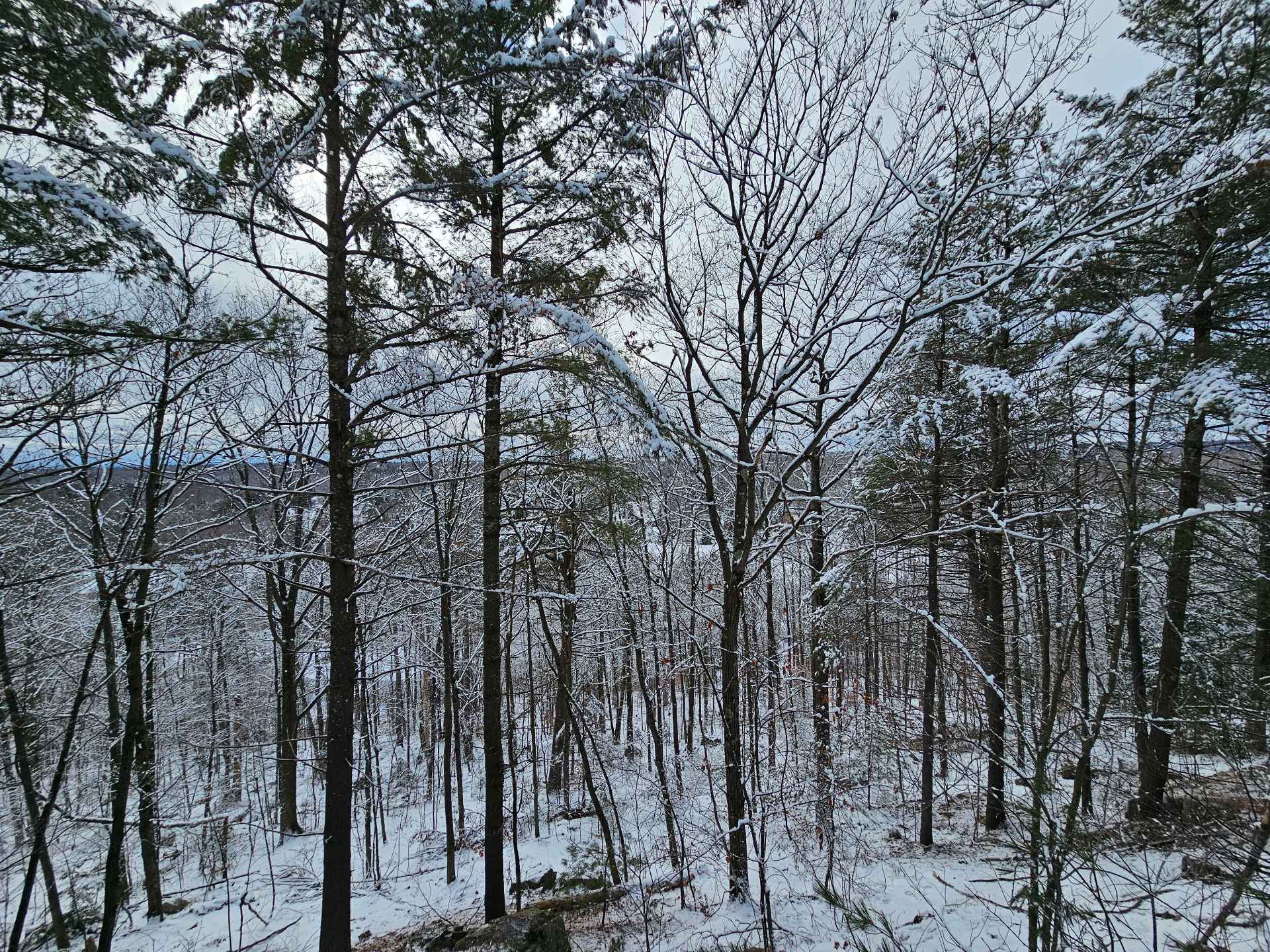 Land/Lot