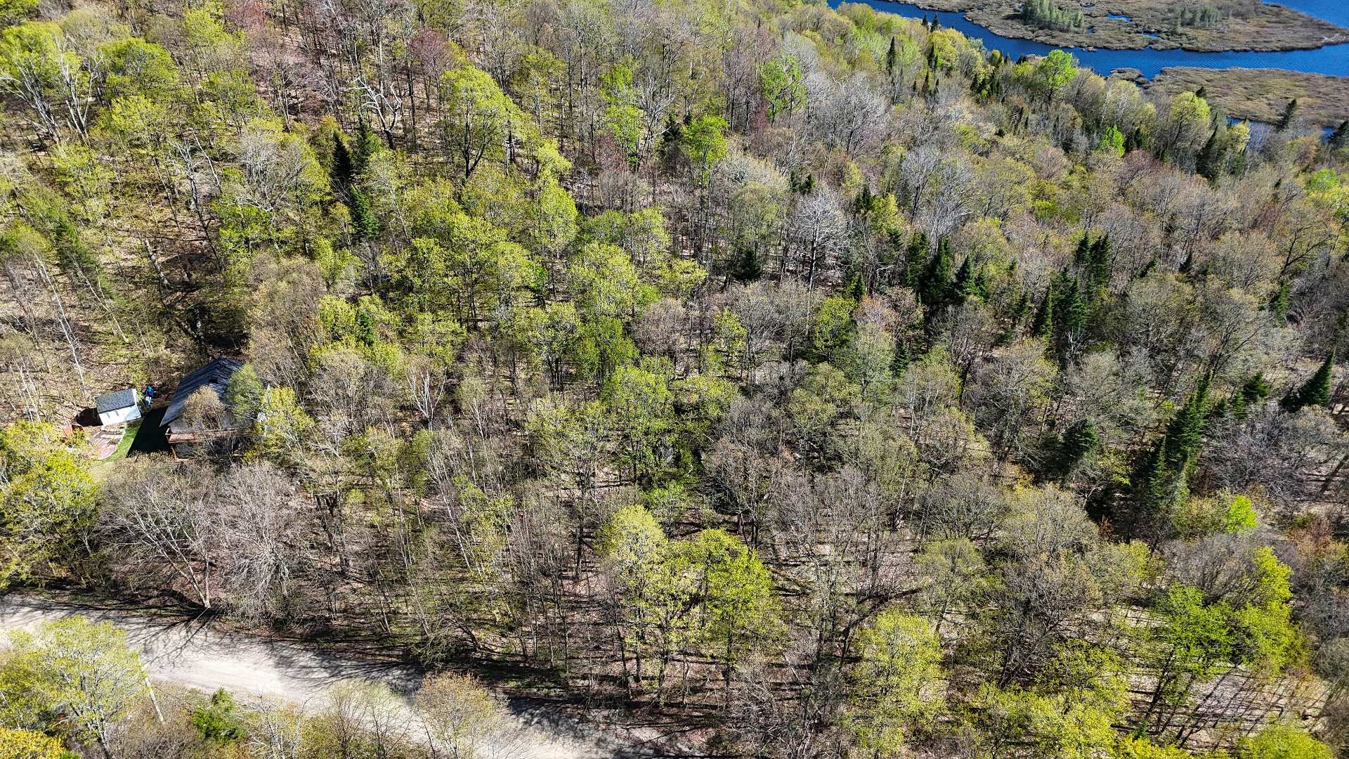 Overall View