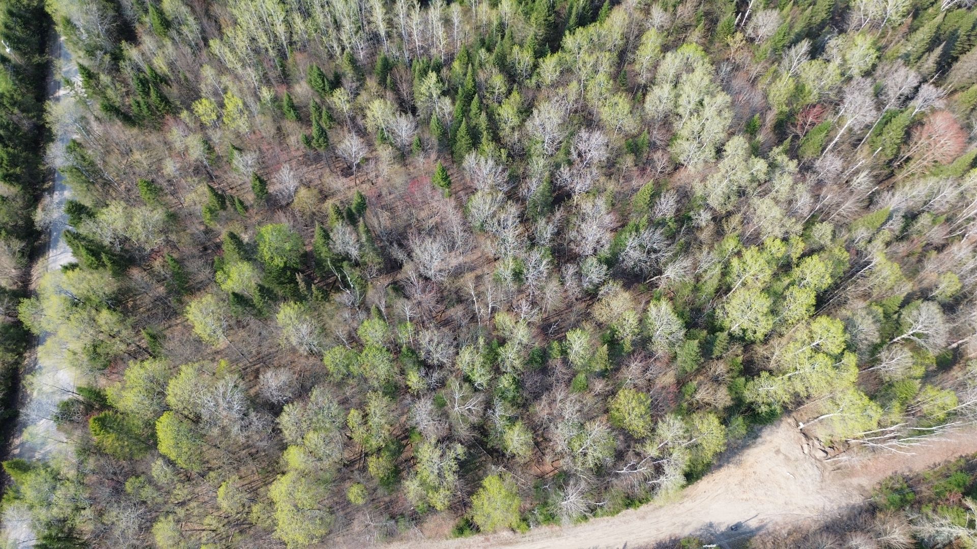 Aerial photo