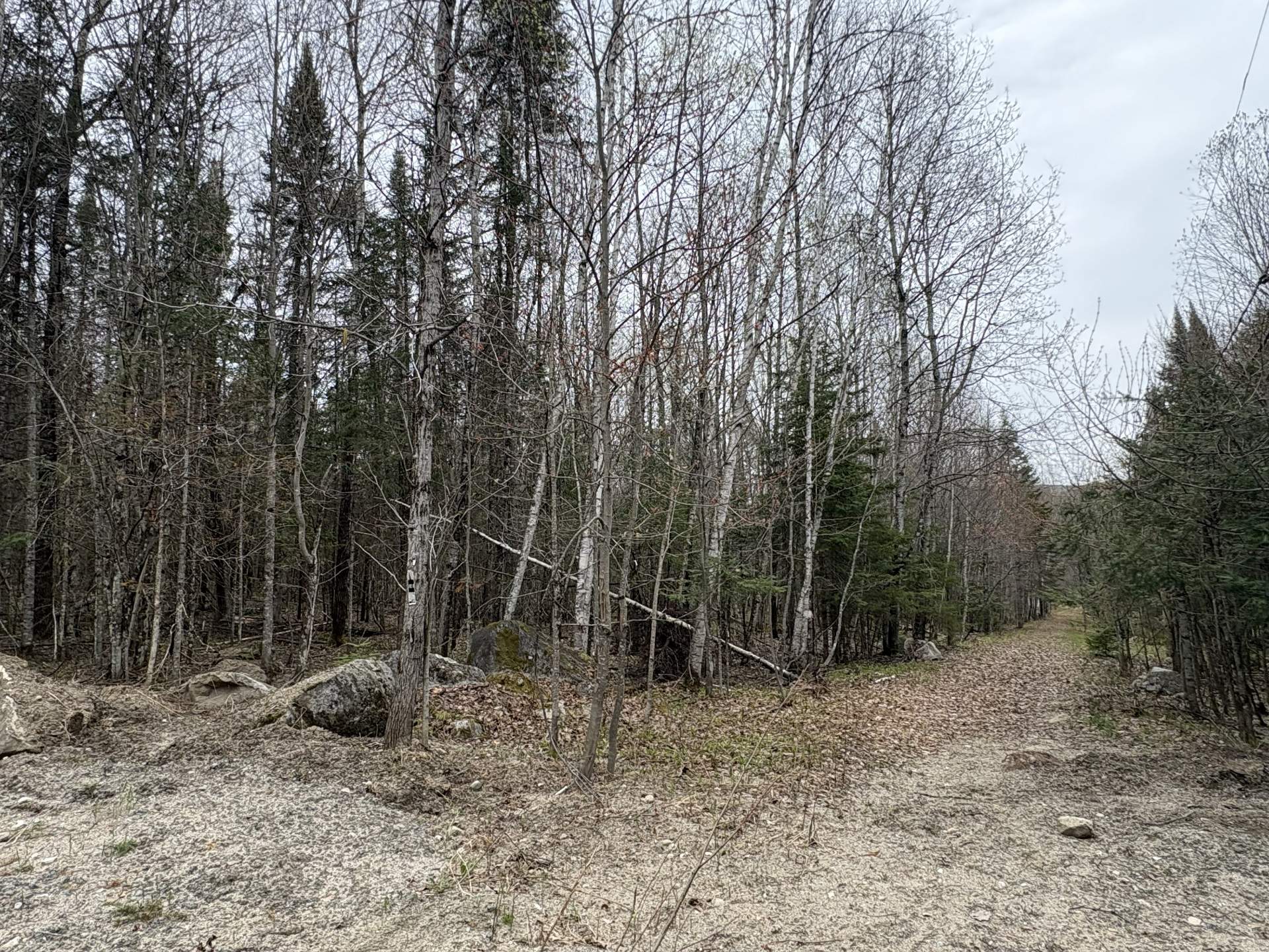Land/Lot