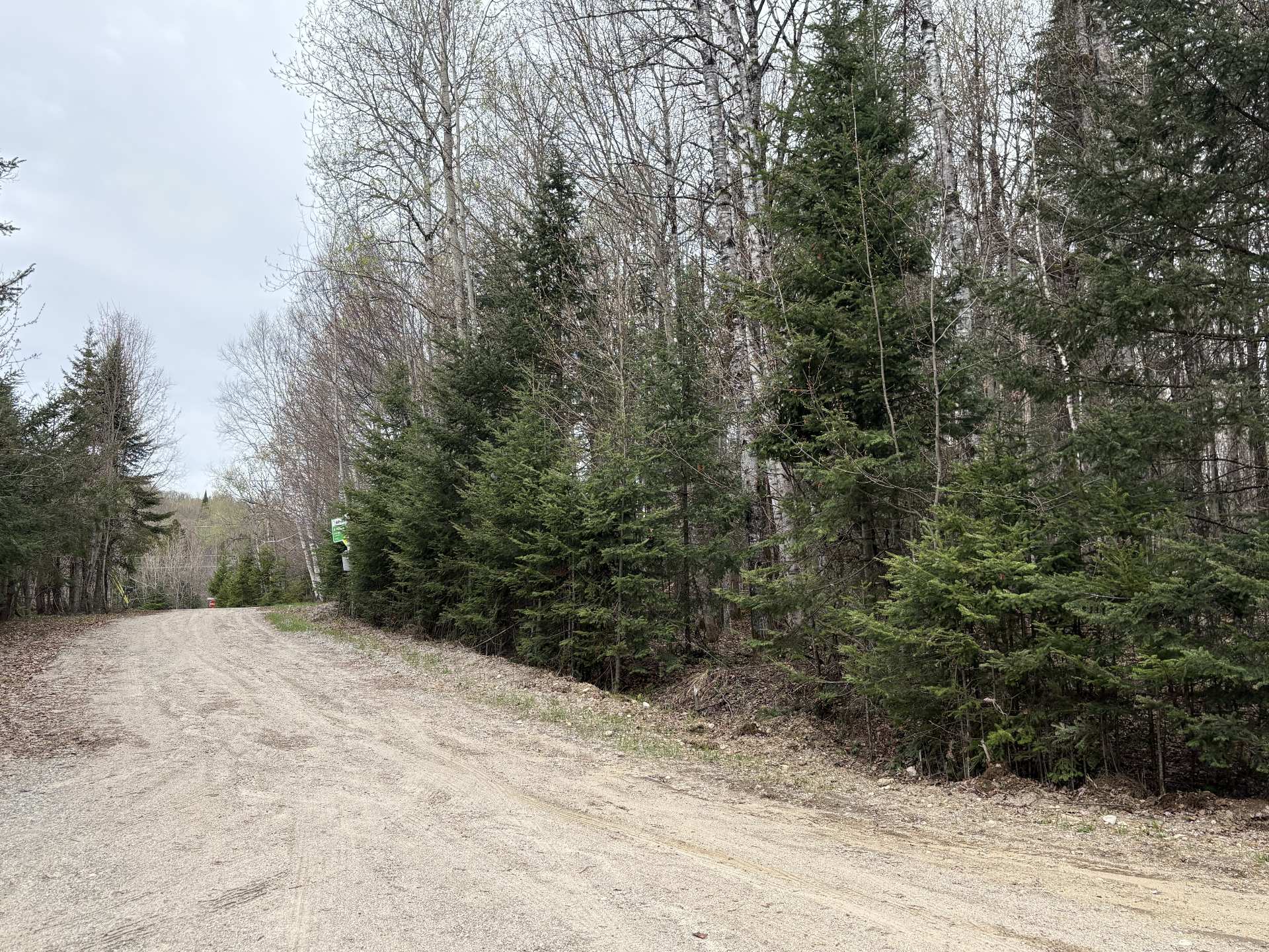 Land/Lot
