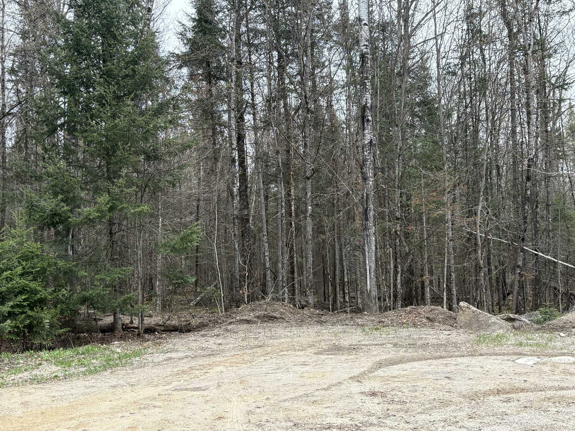 Land/Lot