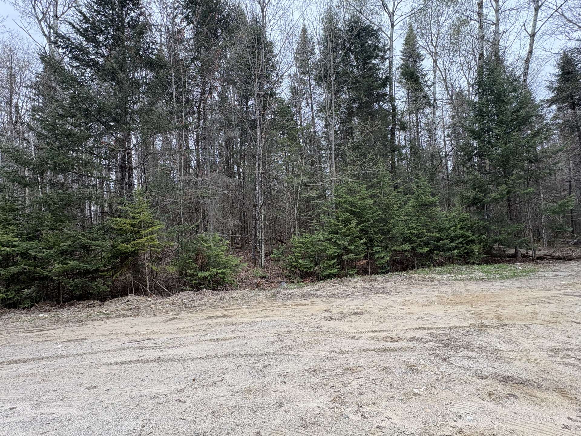 Land/Lot