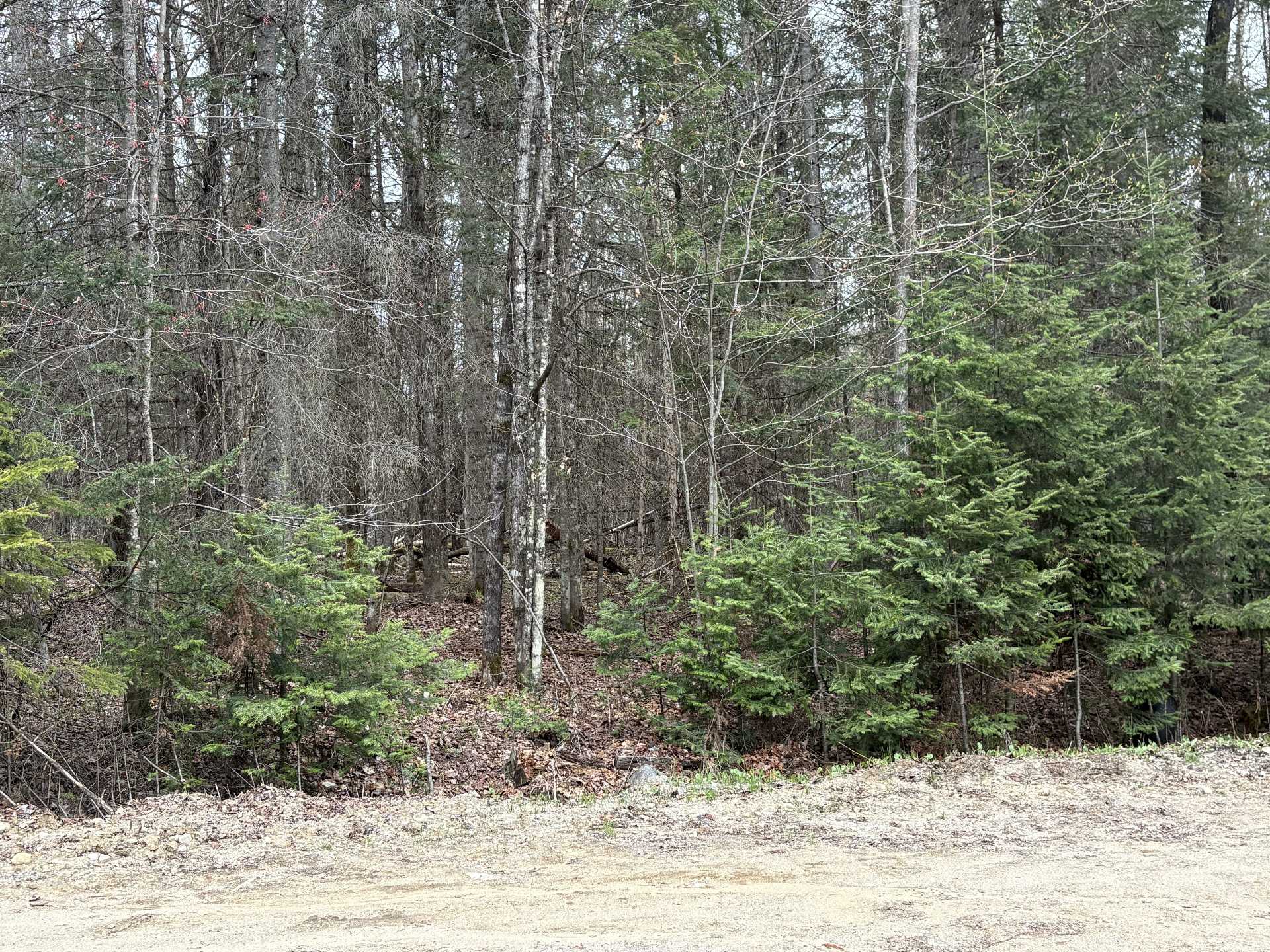 Land/Lot