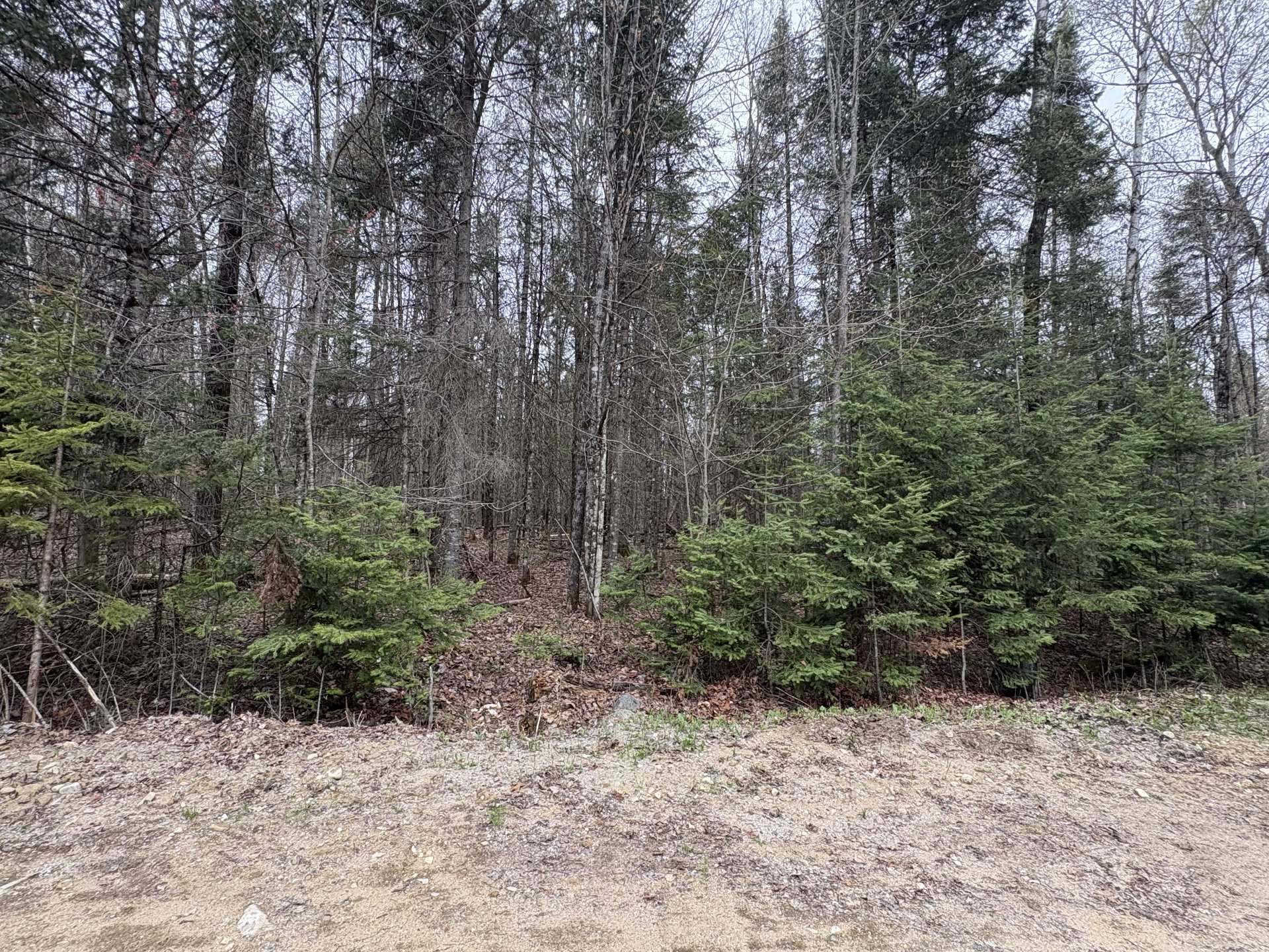 Land/Lot