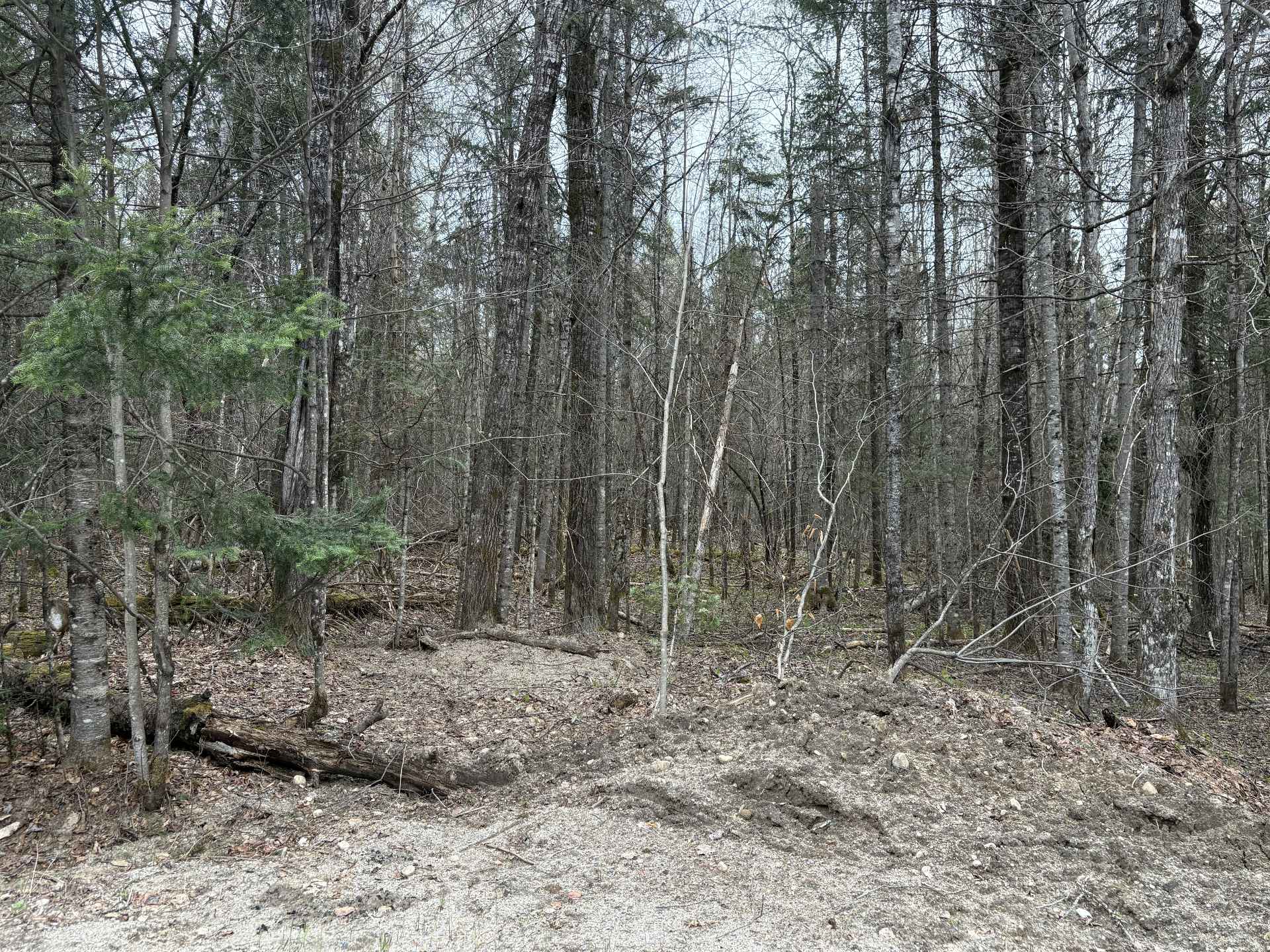 Land/Lot