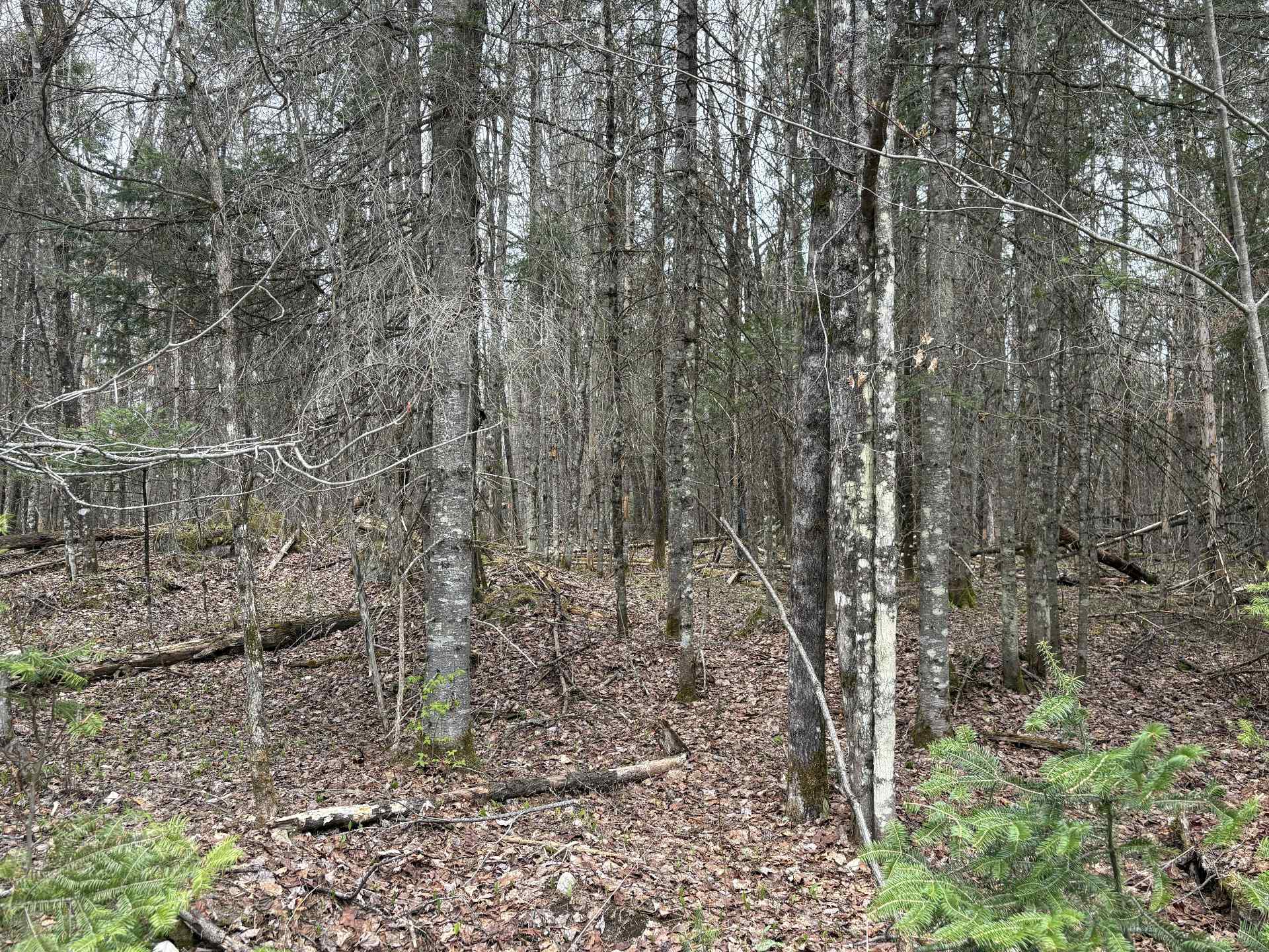 Land/Lot