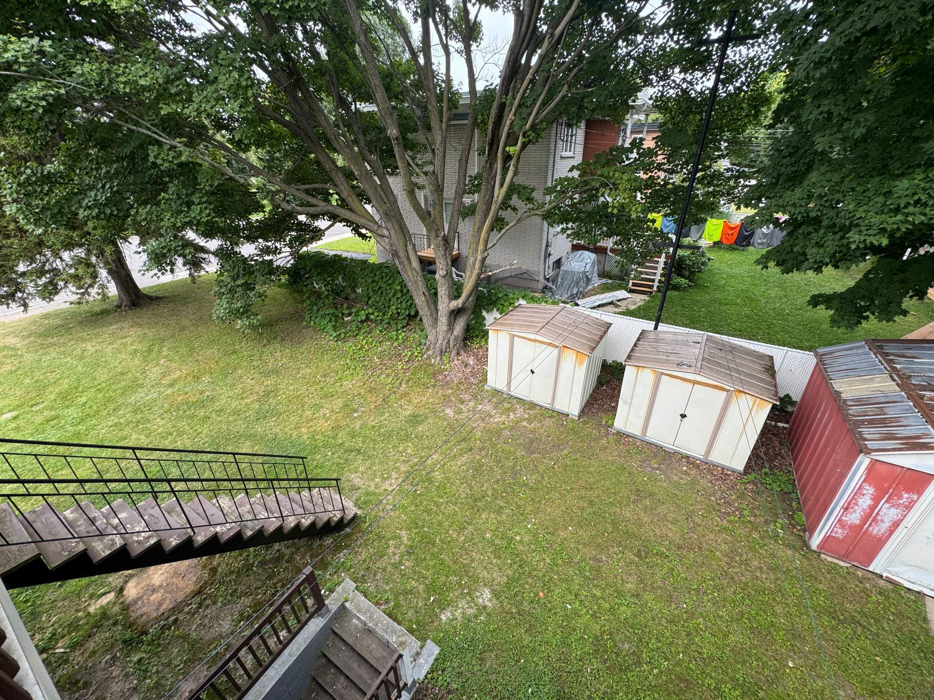 Shed
