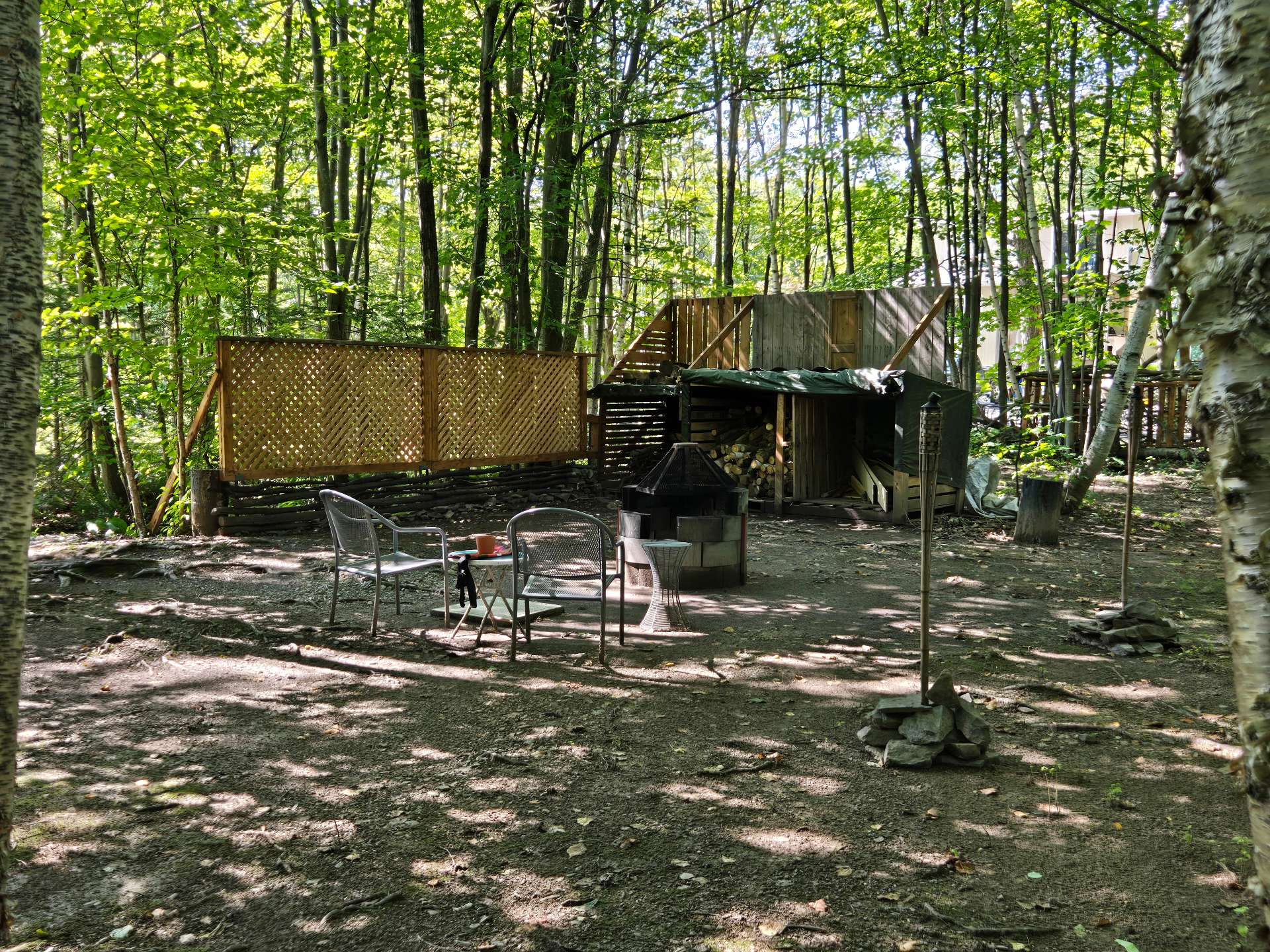 Backyard