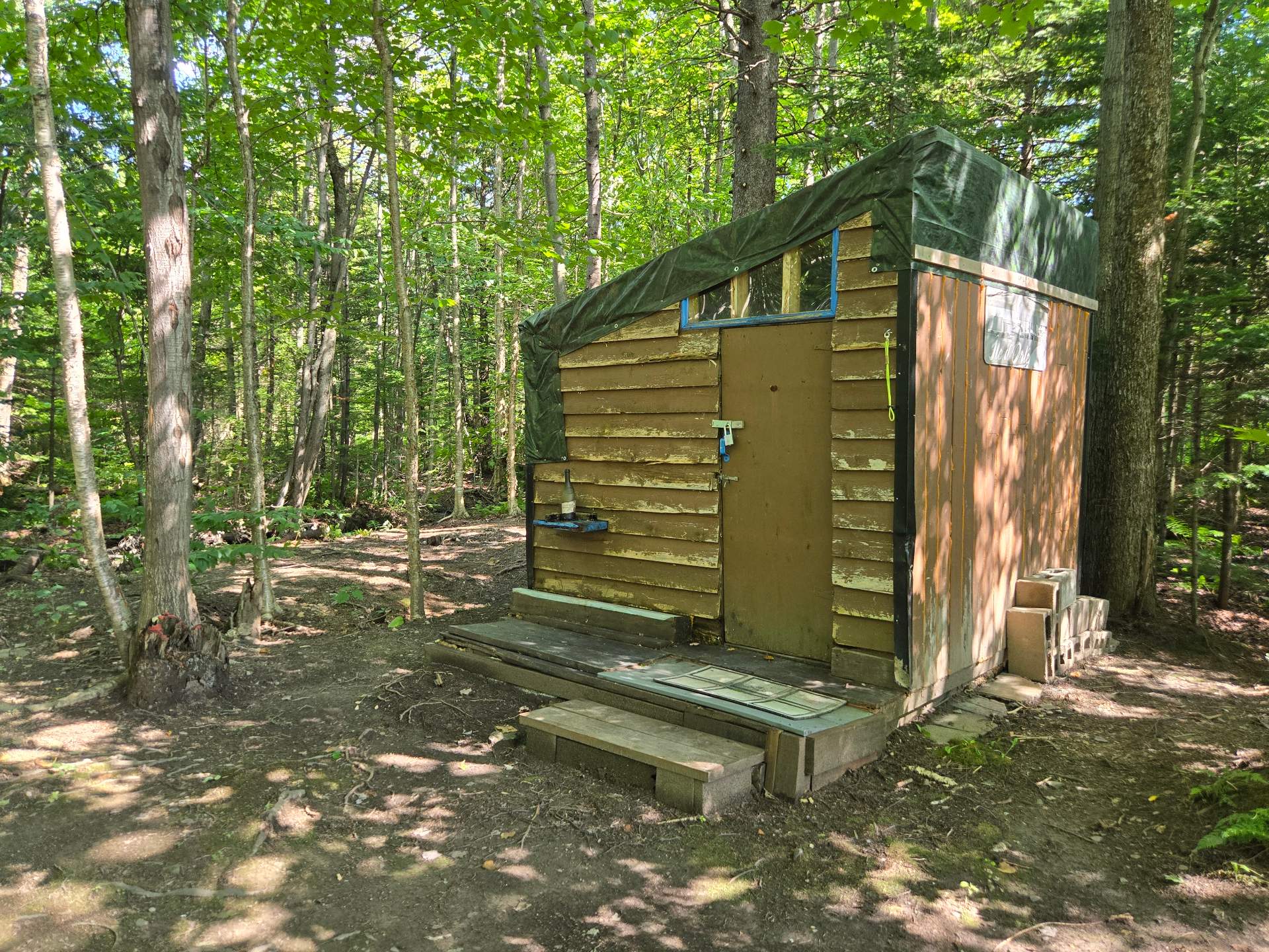 Shed