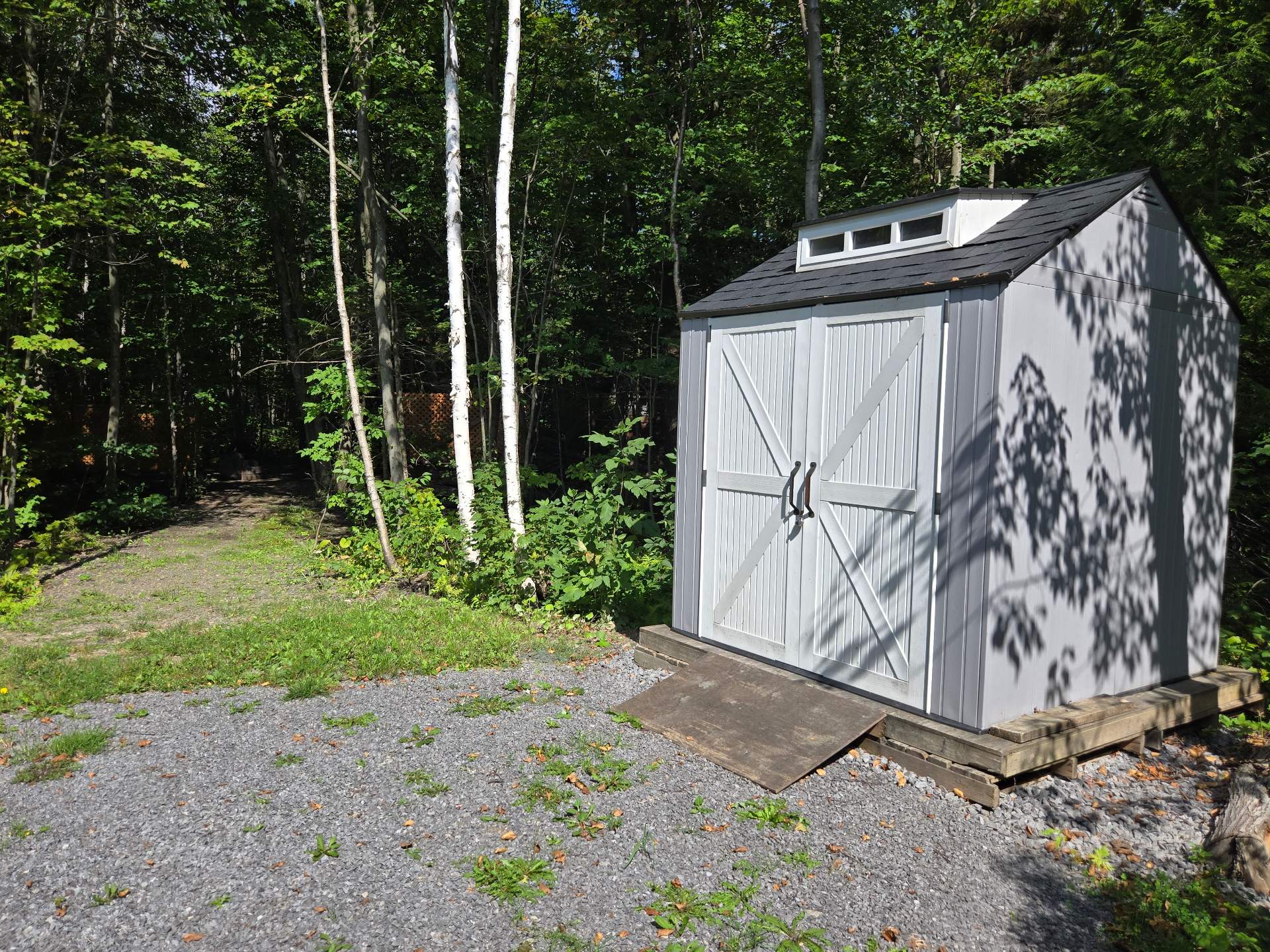 Shed