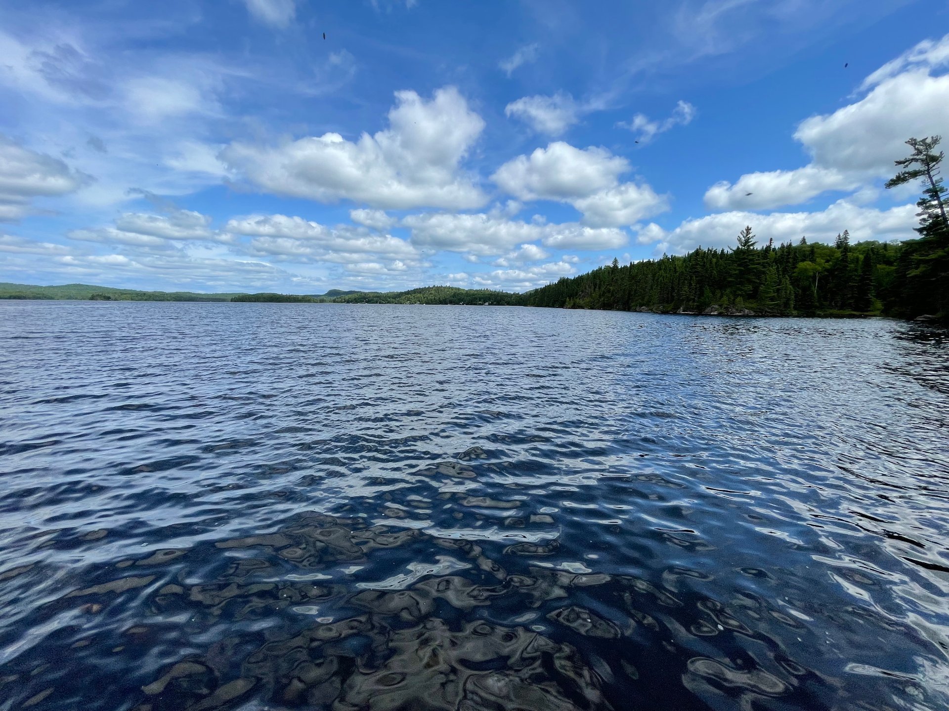 Vue sur l'eau