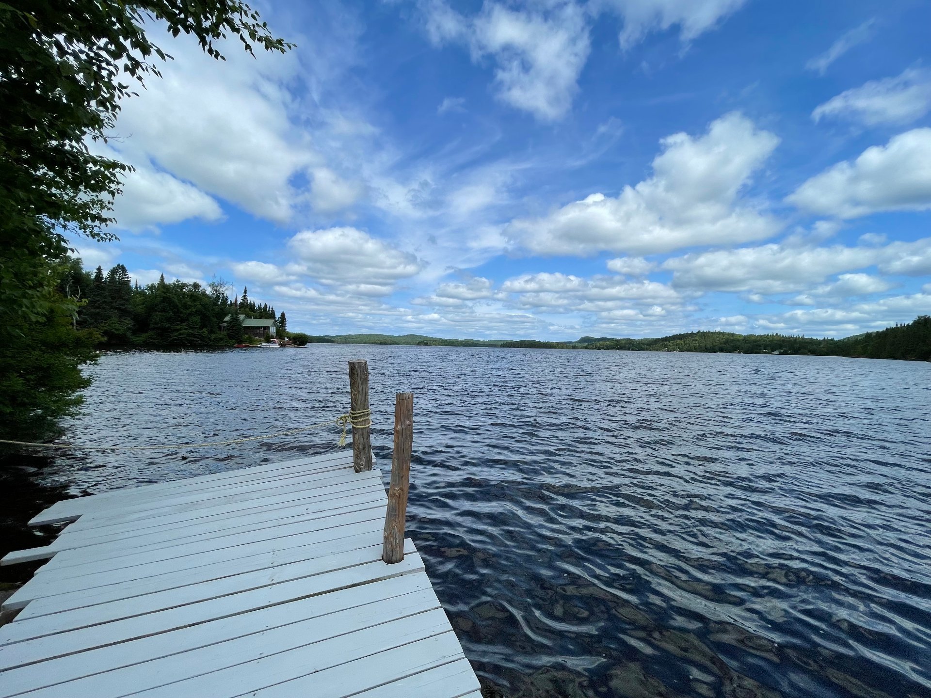 Vue sur l'eau