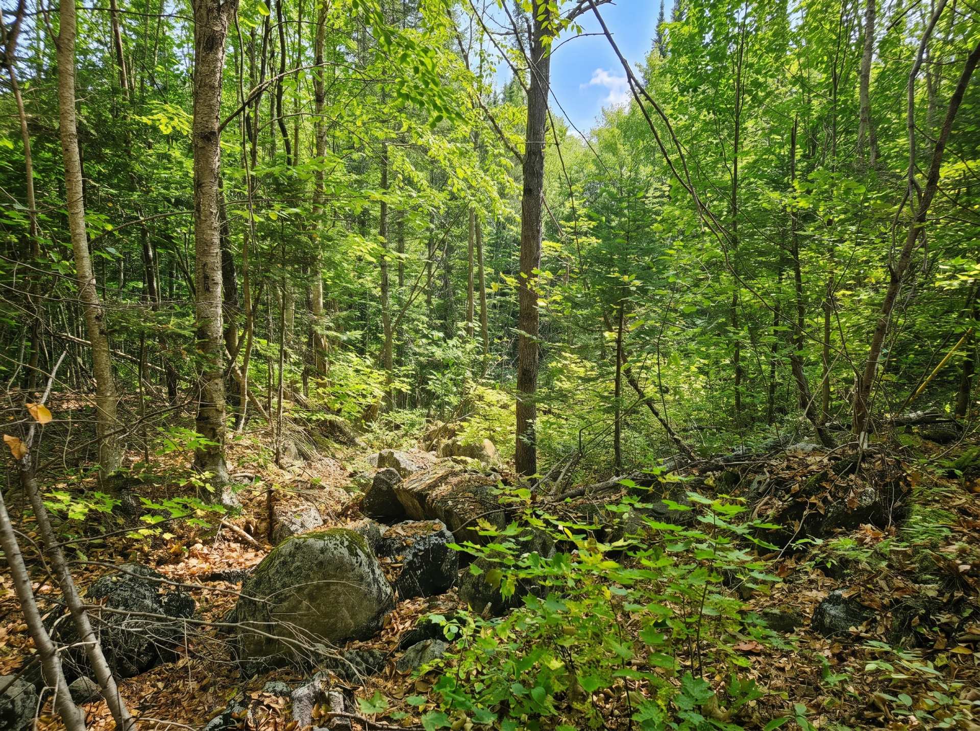 Land/Lot