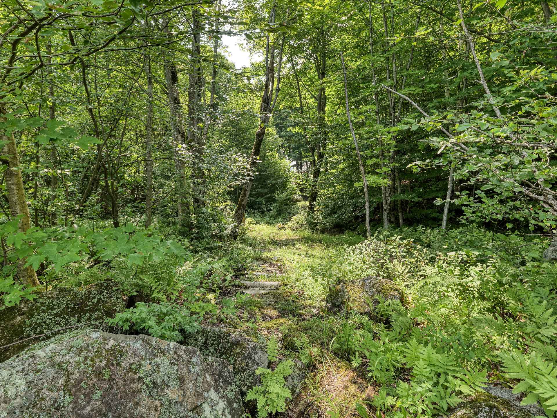 Accès au plan d'eau