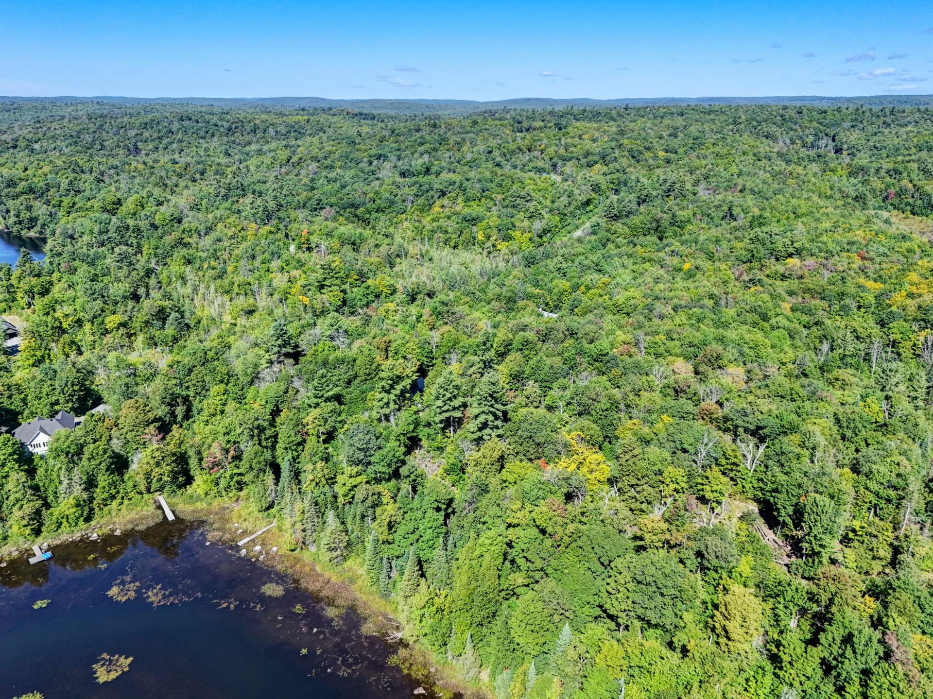 Aerial photo