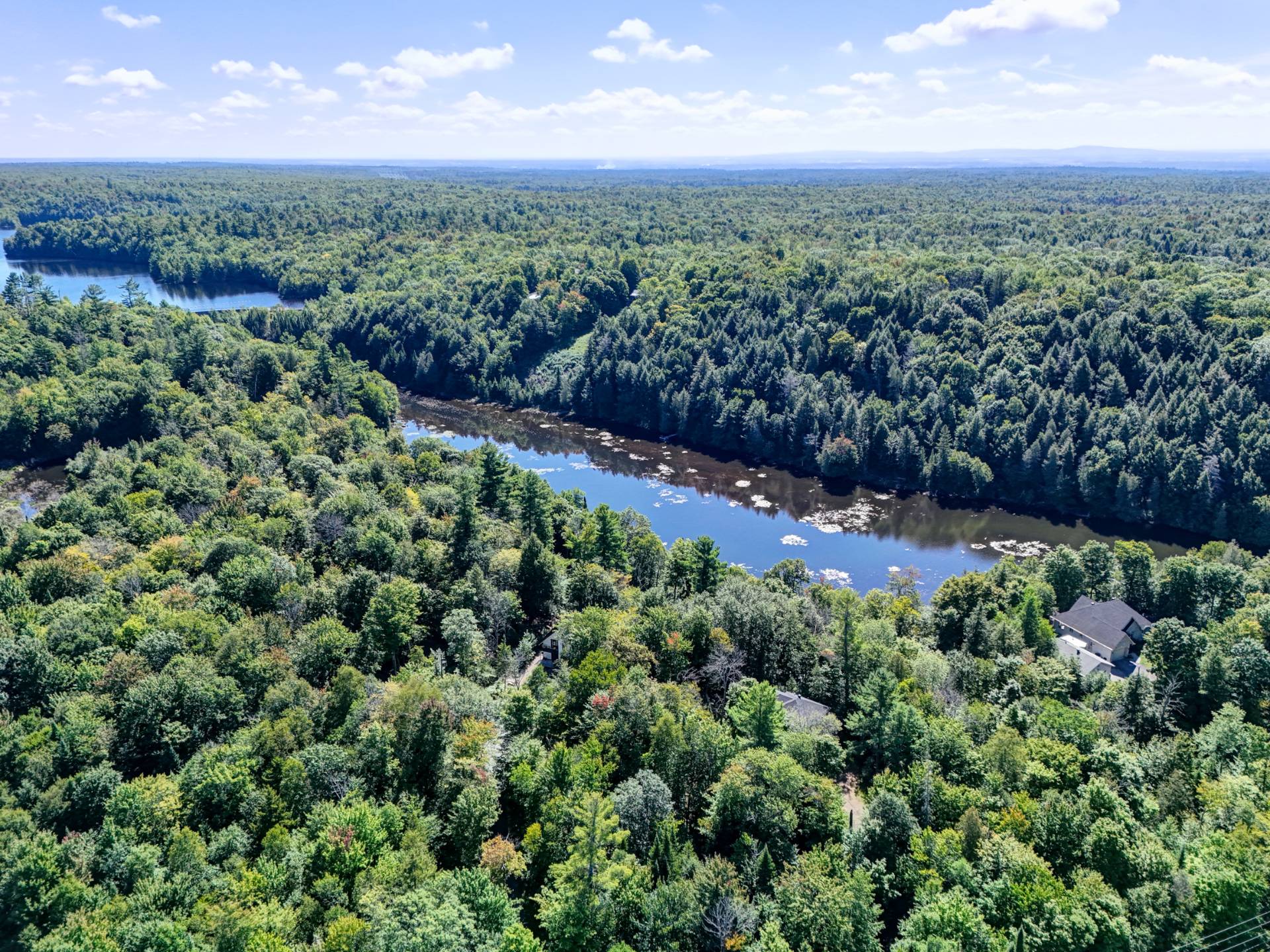 Aerial photo