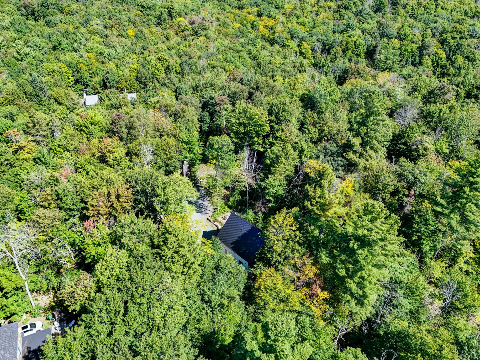 Aerial photo