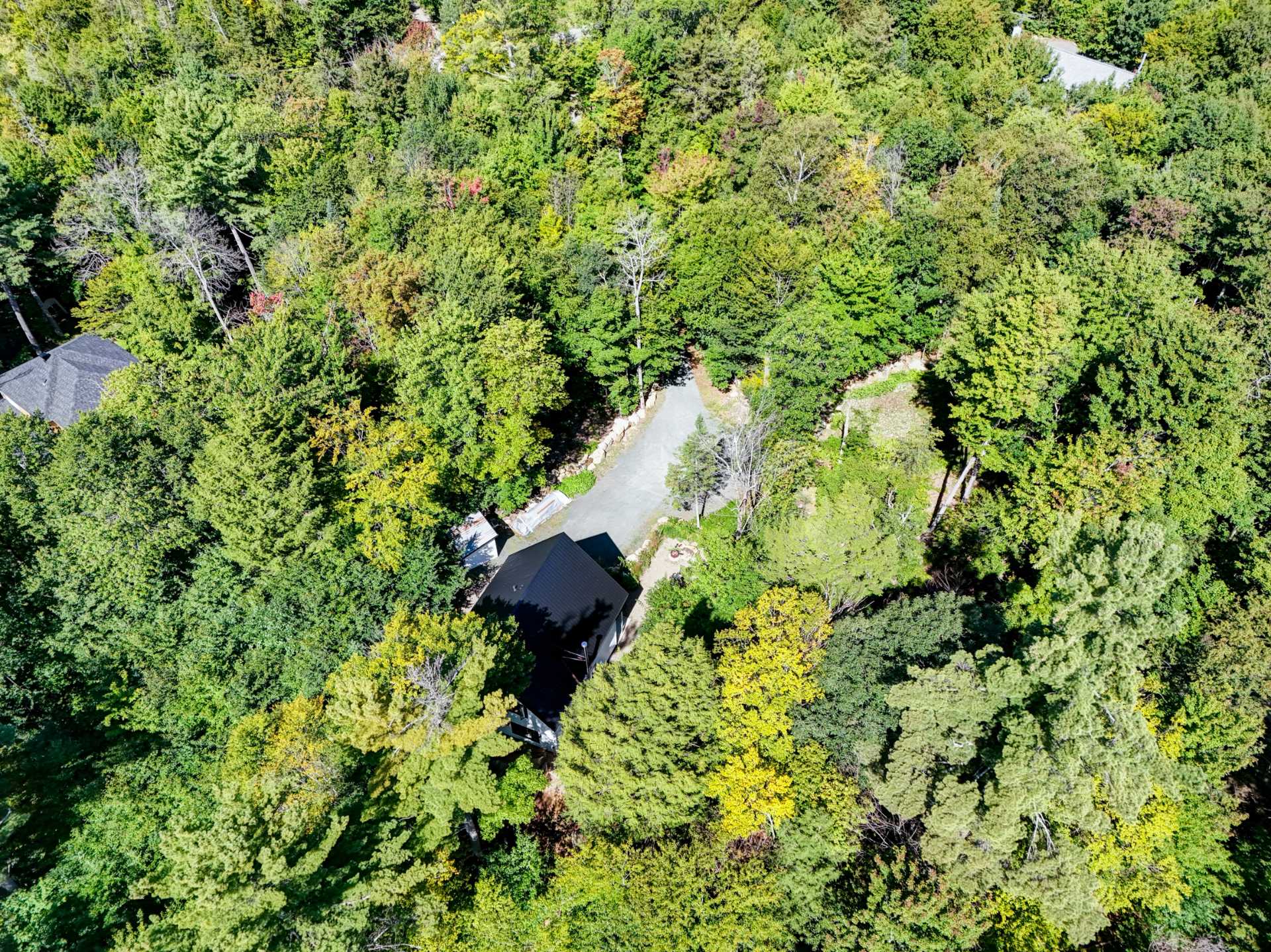 Aerial photo