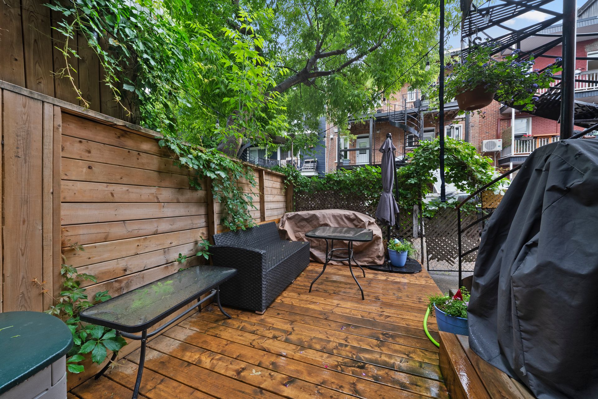 Backyard