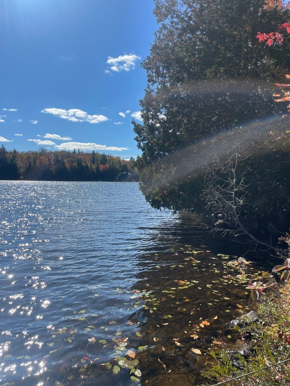 Accès au plan d'eau