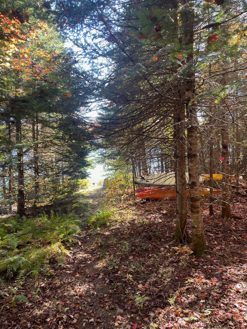 Accès au plan d'eau