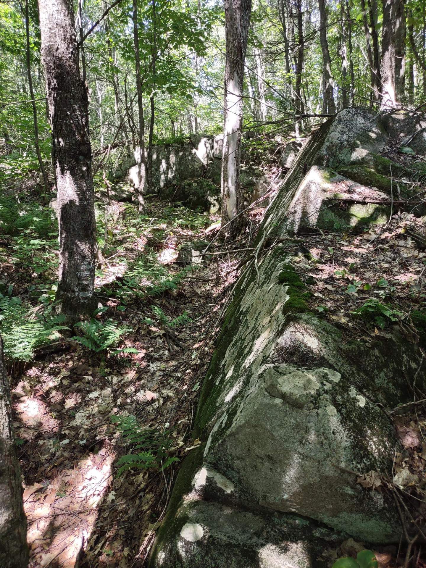Terrain