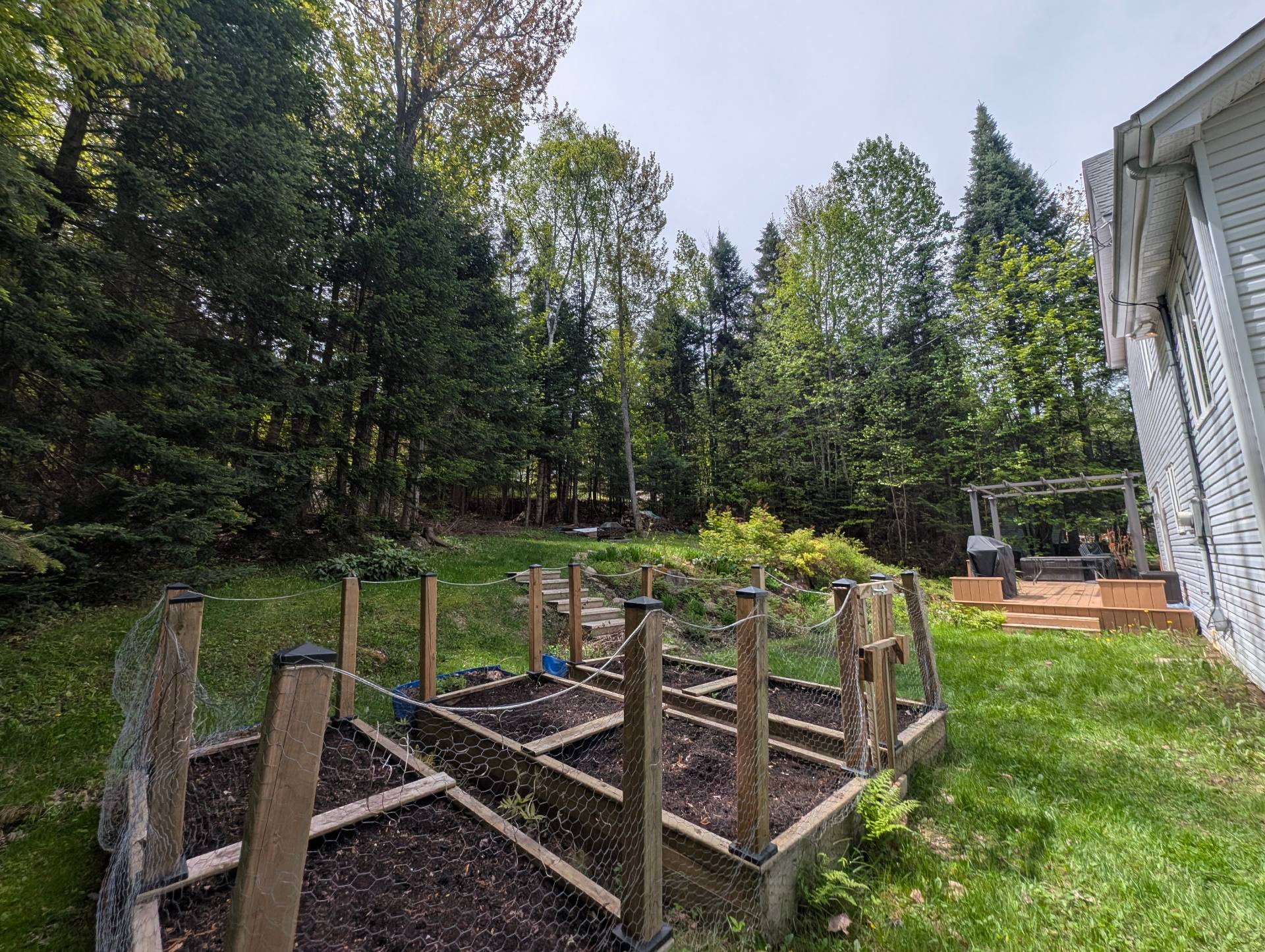 Backyard