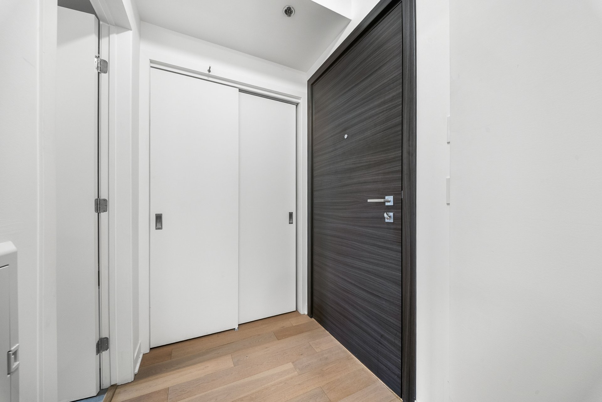 Hall d'entrée/Vestibule